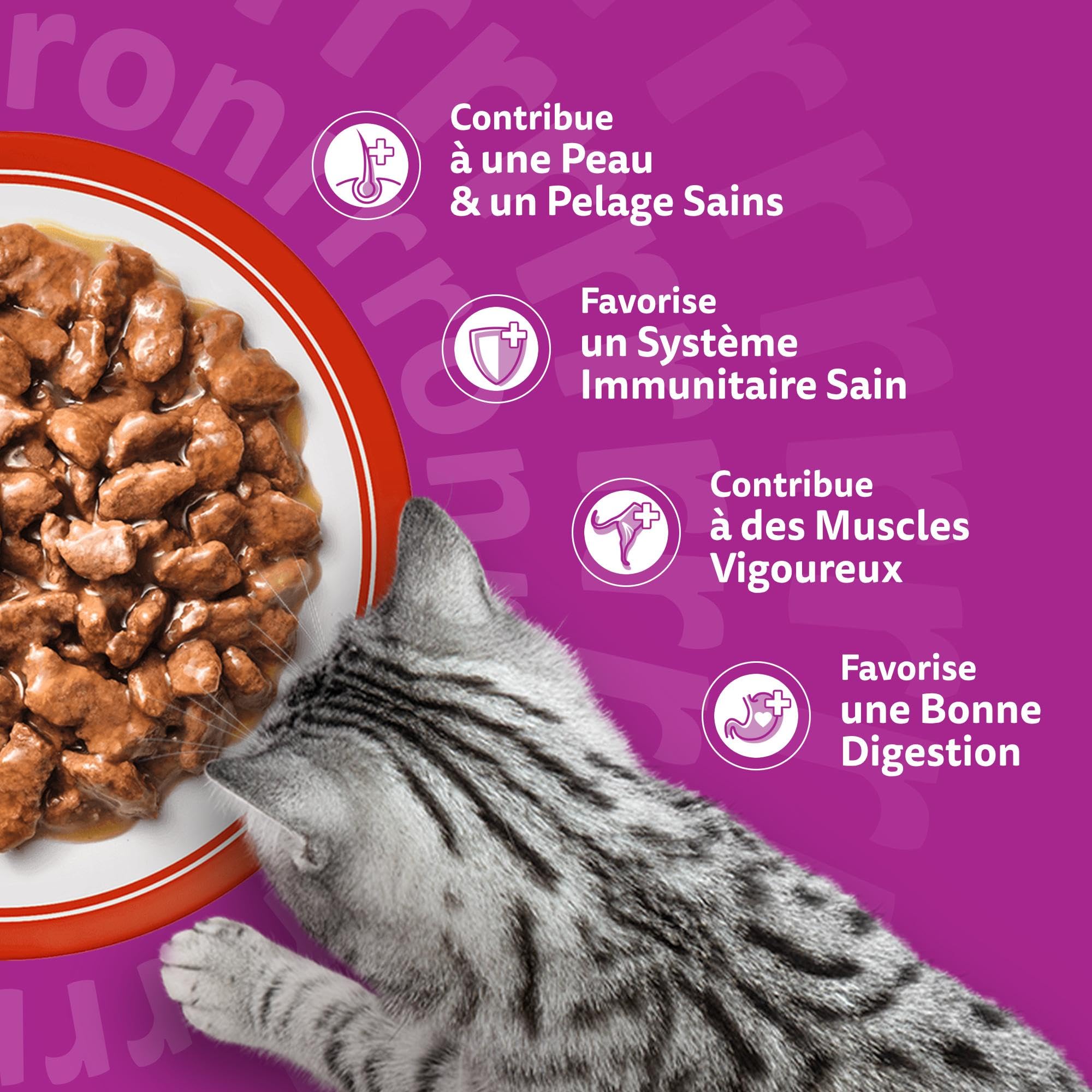 WHISKAS Aliment humide en sauce Chat adulte 84x85g Les Repas Classiques