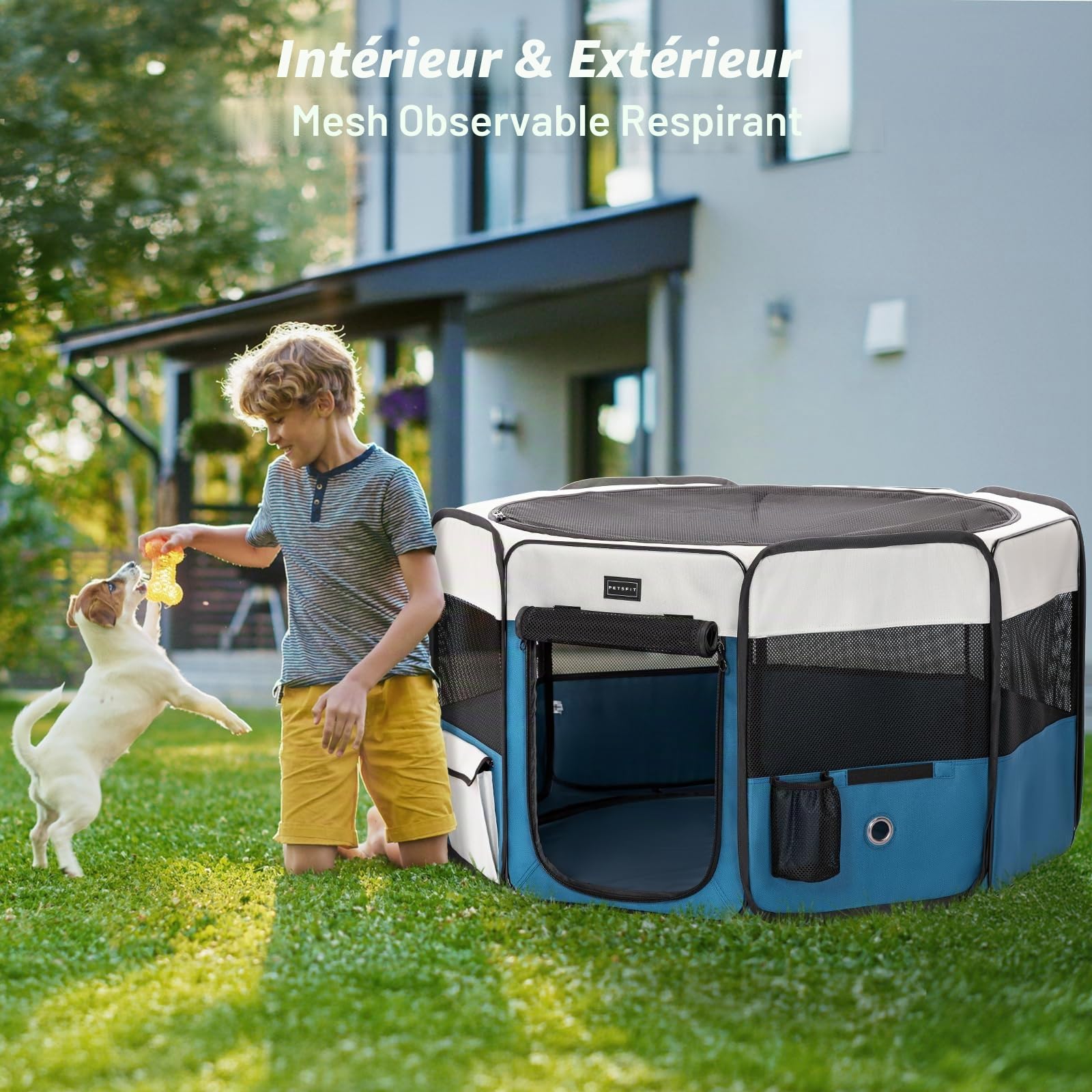 PETSFIT Enclos Pliable pour Petits Animaux, Chiens, Chats, avec Fond étanche, système Pop-up, Design Anti-Mastication, Gris/Bleu, 116 x 106 x 70 cm