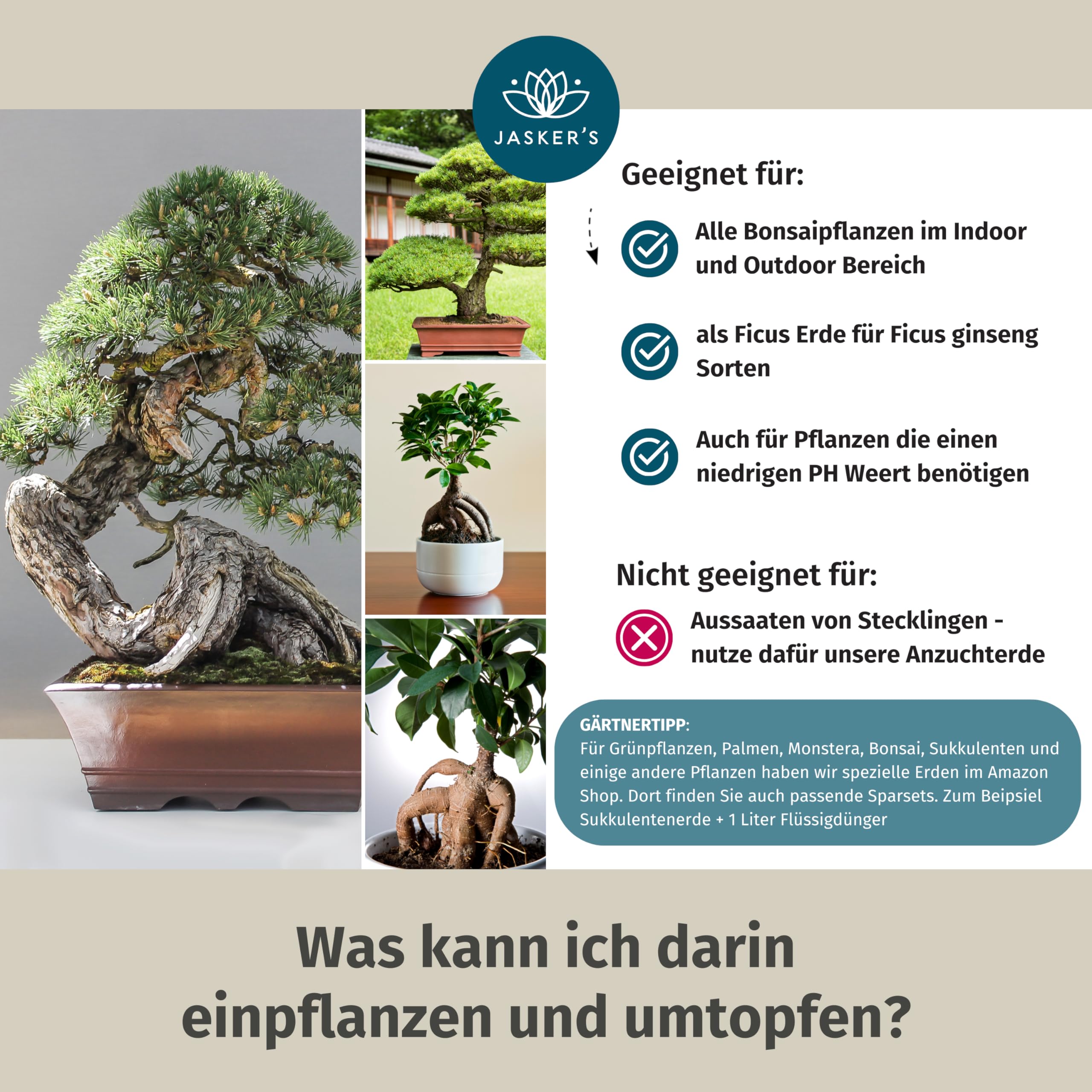welcher efeu ist winterhart Efeu