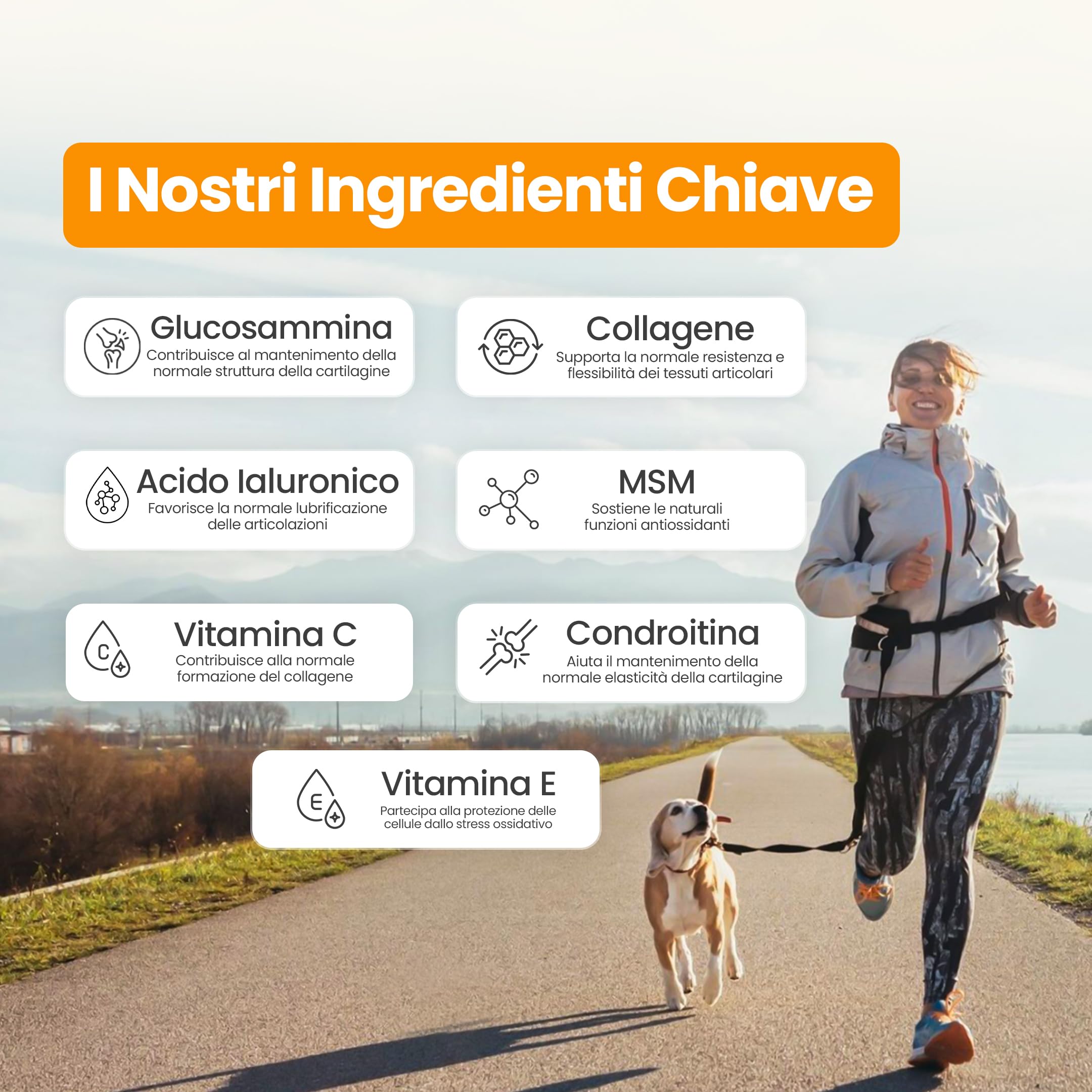 Integratore Articolazioni per Cani Ossa Più – Collagene, Glucosammina, MSM, Condroitina & Acido Ialuronico – Marchio Italiano