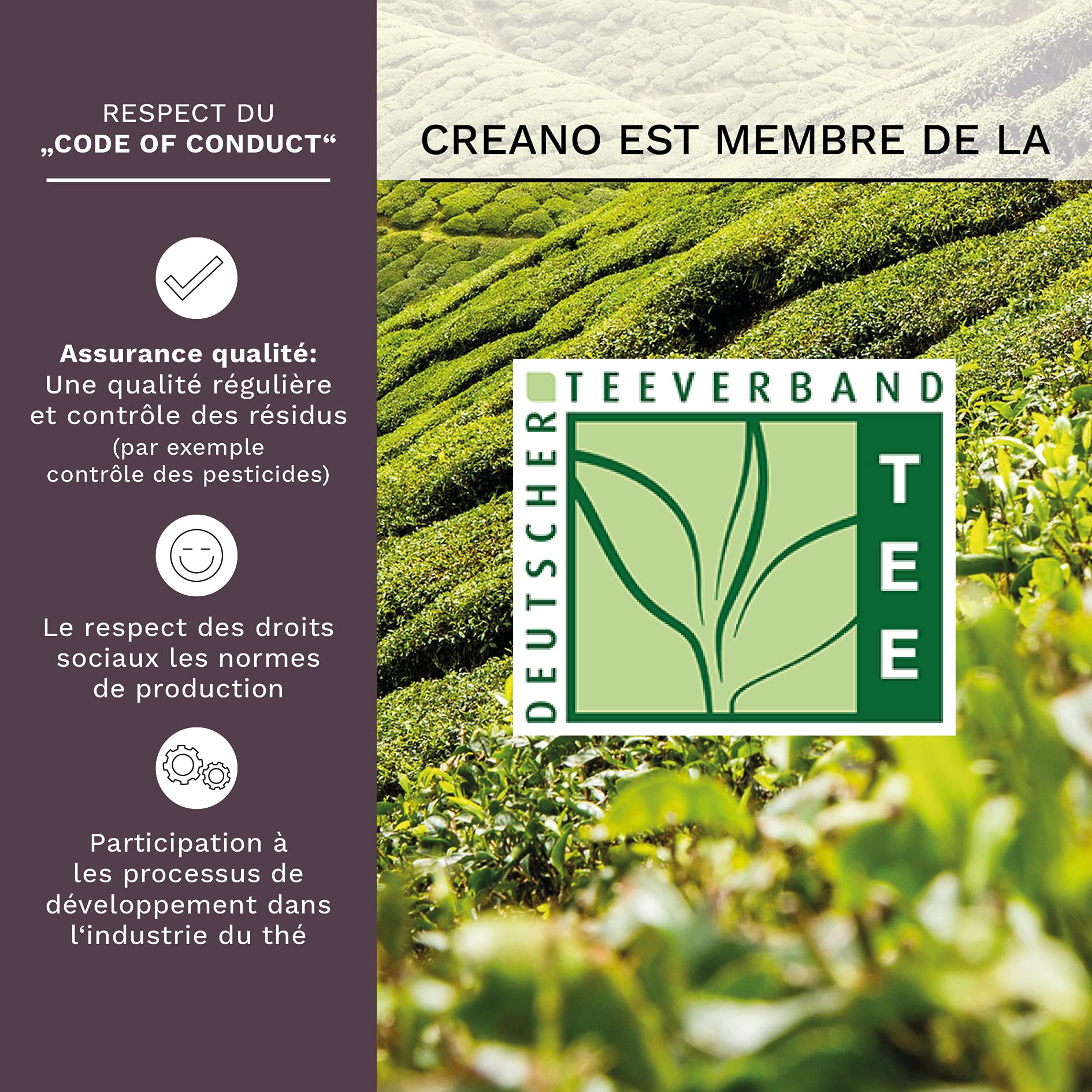Creano Coffret Cadeau Teelini Noir – 8 Fleurs de Thé Noir en Portion de Tasse avec Tasse en Verre 200ml & Couvercle – Idée Cadeau Anniversaire, Collègue & Détente