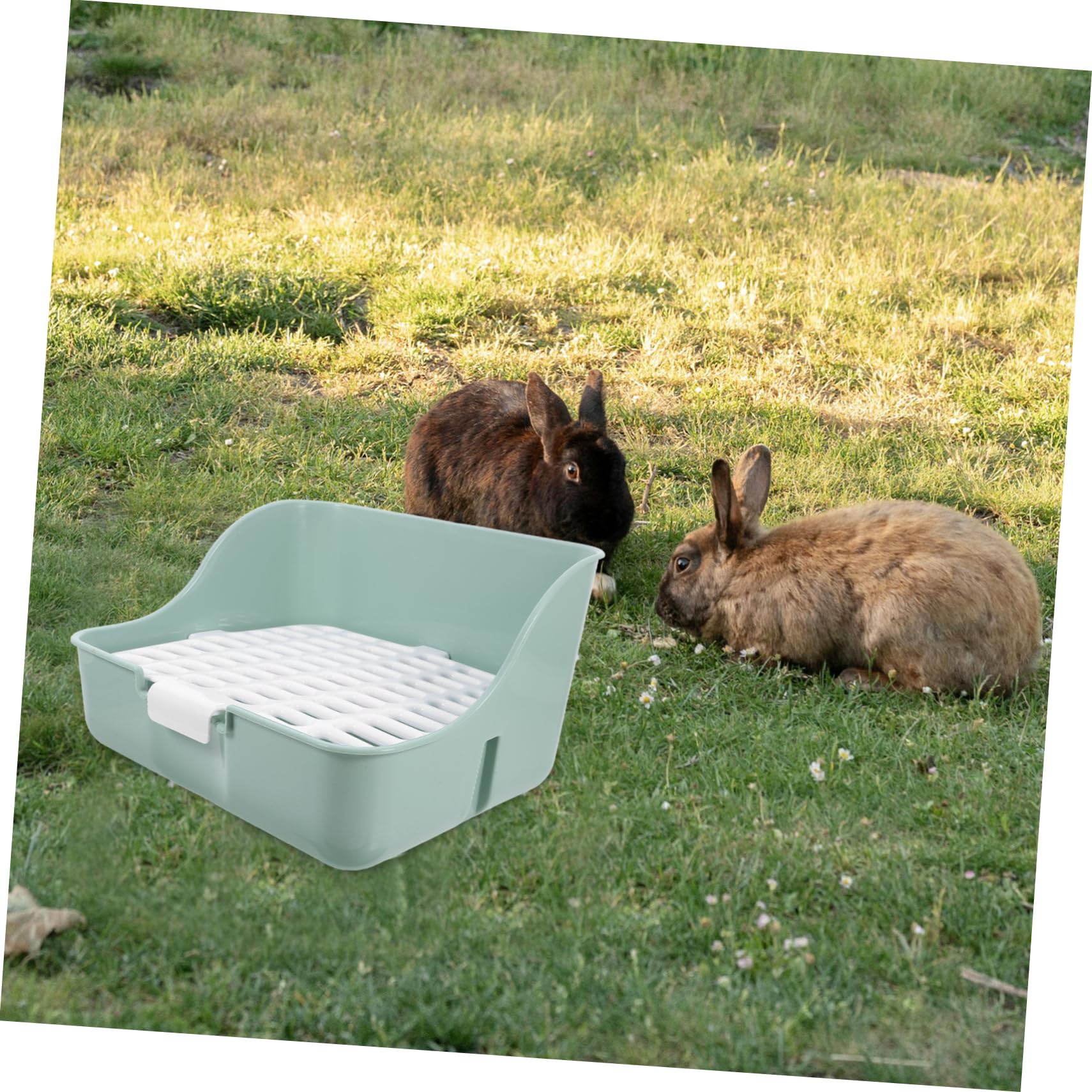 Ecktoilette Für Kaninchen Und Meerschweinchen Mit Spritzschutzdesign Ausreichendem Platz Für Kleine Haustiere Und Stabiler Quadratkonstruktion