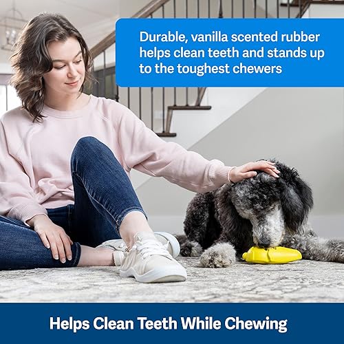 Miniatura 4 de PetSafe Frosty Cone - Juguetes para perros  Juguete masticable para llenar y congelar golosinas  Goma sin BPA  Aroma de vainilla francesa