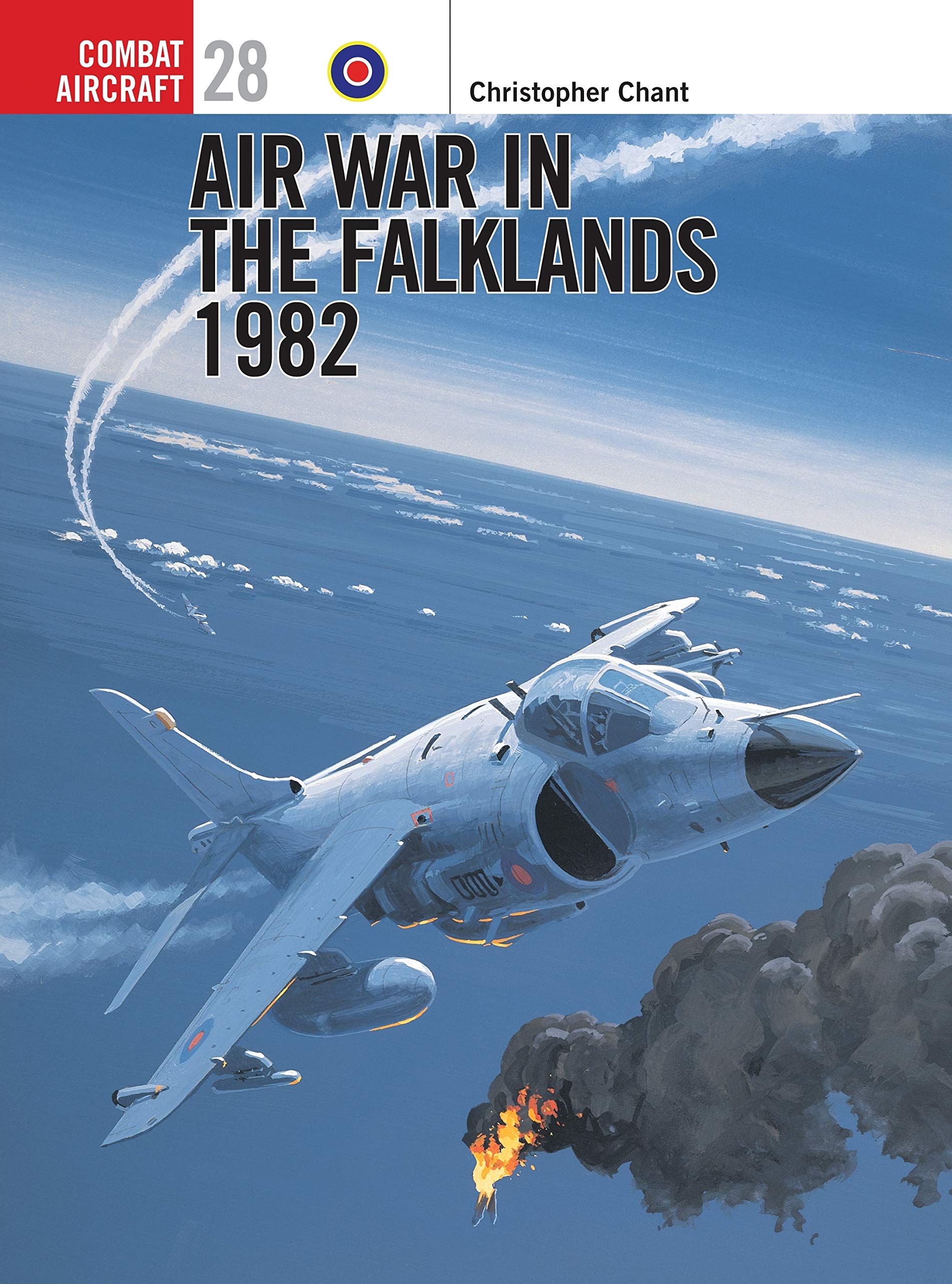 Air War in the Falklands 1982 - 9781841762937