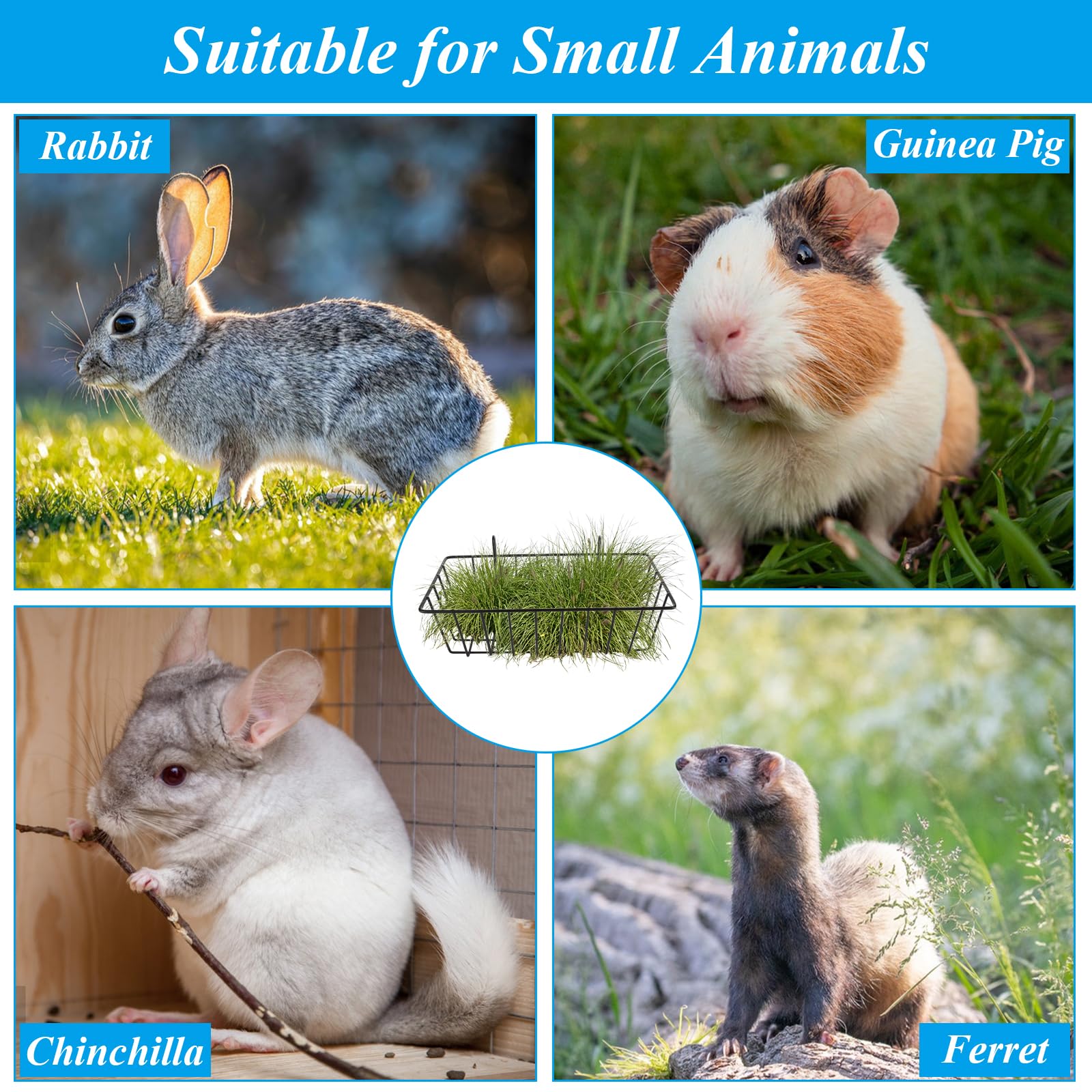 6PCS Rabbit Hay Feeder Bunny Hay Feeder Heavy Duty Metal Rack with Hooks, 9x4x3 Inch Rabbit Hay Holder Cage Hanging Hay Holder for Rabbits Bunny Guinea Pig (Black) - image 7