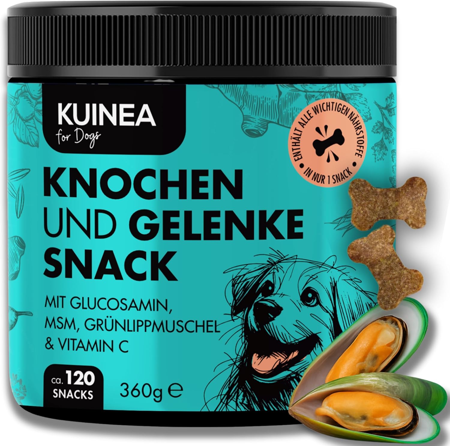 KUINEA Joint – Vitamine für Hunde – ca. 120 Leckerlis (360 g) mit Grünlippmuschel, MSM, Glucosamin & Vitamin C – Leckere Gelenkpflege ohne Zucker & Getreide, Grünlippmuschel Hund, Gelenk KUINEA Joint – Vitamine für Hunde – ca. 120 Leckerlis (360 g) mit Grünlippmuschel, MSM, Glucosamin & Vitamin C – Leckere Gelenkpflege ohne Zucker & Getreide, Grünlippmuschel Hund, Gelenk