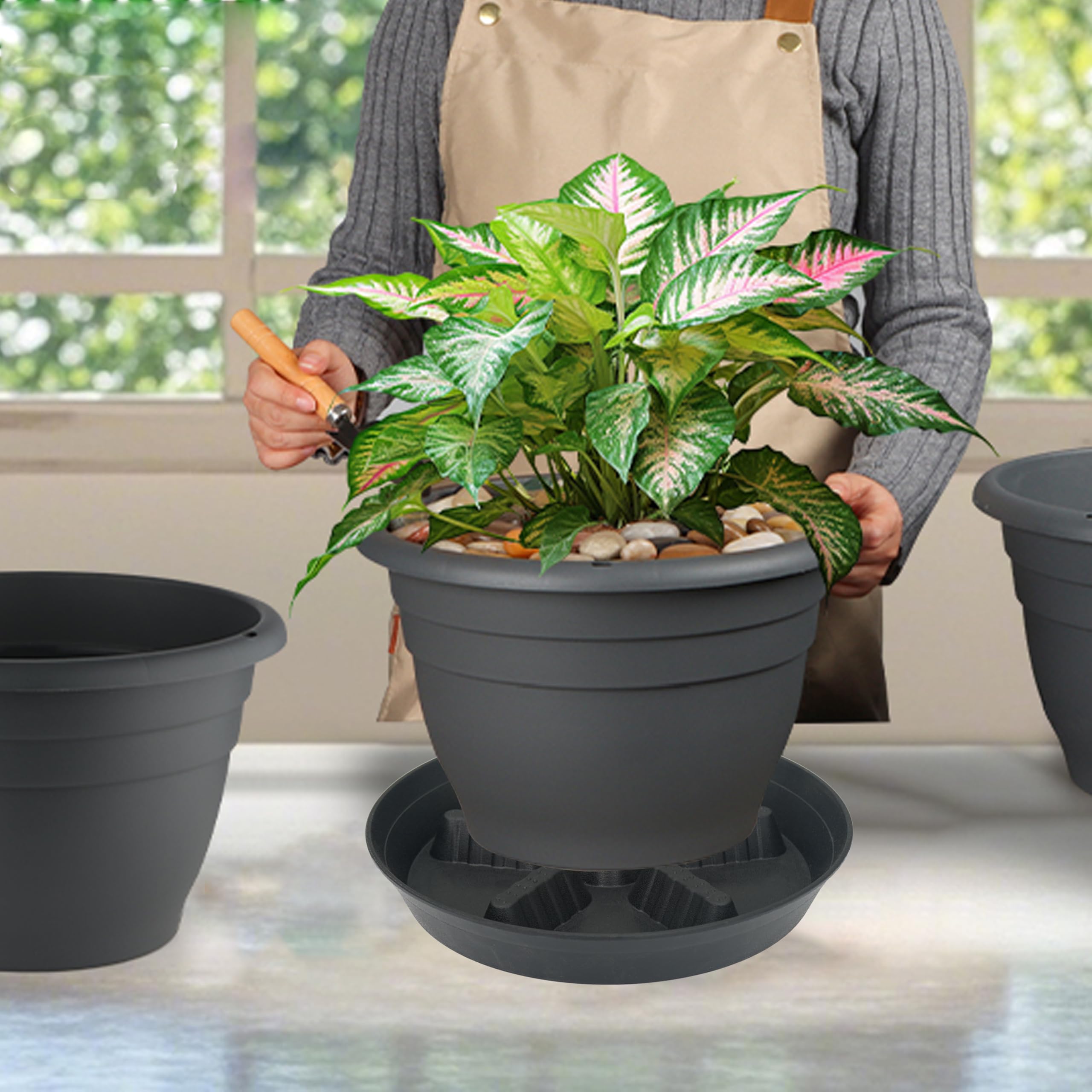 Amazon.com : Feyvdzv 4 Pack Plant Saucer 14 inch, Plastic Plant Saucers for  Indoors, Raised Middle Plant Trays for Pots, Water Tray for Plants, Plant  Stand Water Catcher Tray, Pot Saucers for