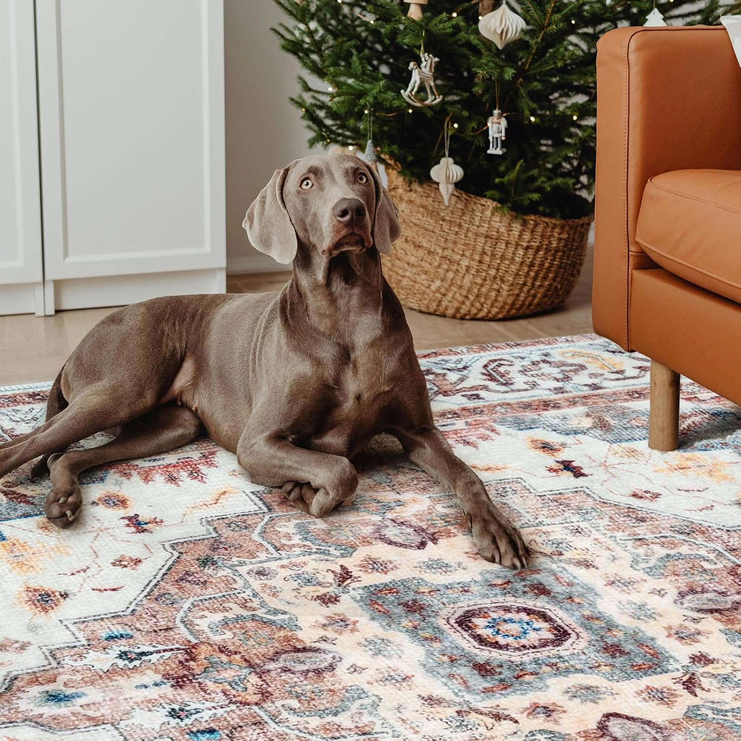 Washable Area Rug 5x7, Large Soft Rugs for Living Room, Non-Slip Stain Resistant Boho Chic Vintage Carpet for Bedroom Dining Room (Cherry)