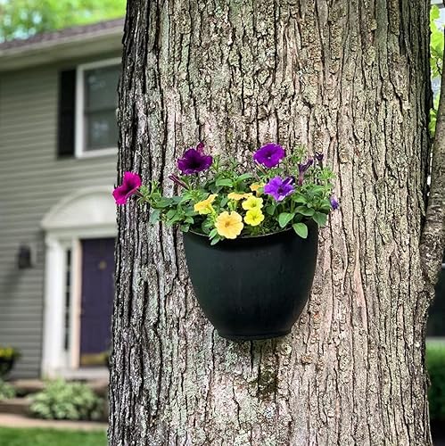 Miniatura 5 de The HC Companies Maceta de pared de jardín de 8 pulgadas, maceta colgante de plástico para flores de interior y exterior, hierbas, verde azulado
