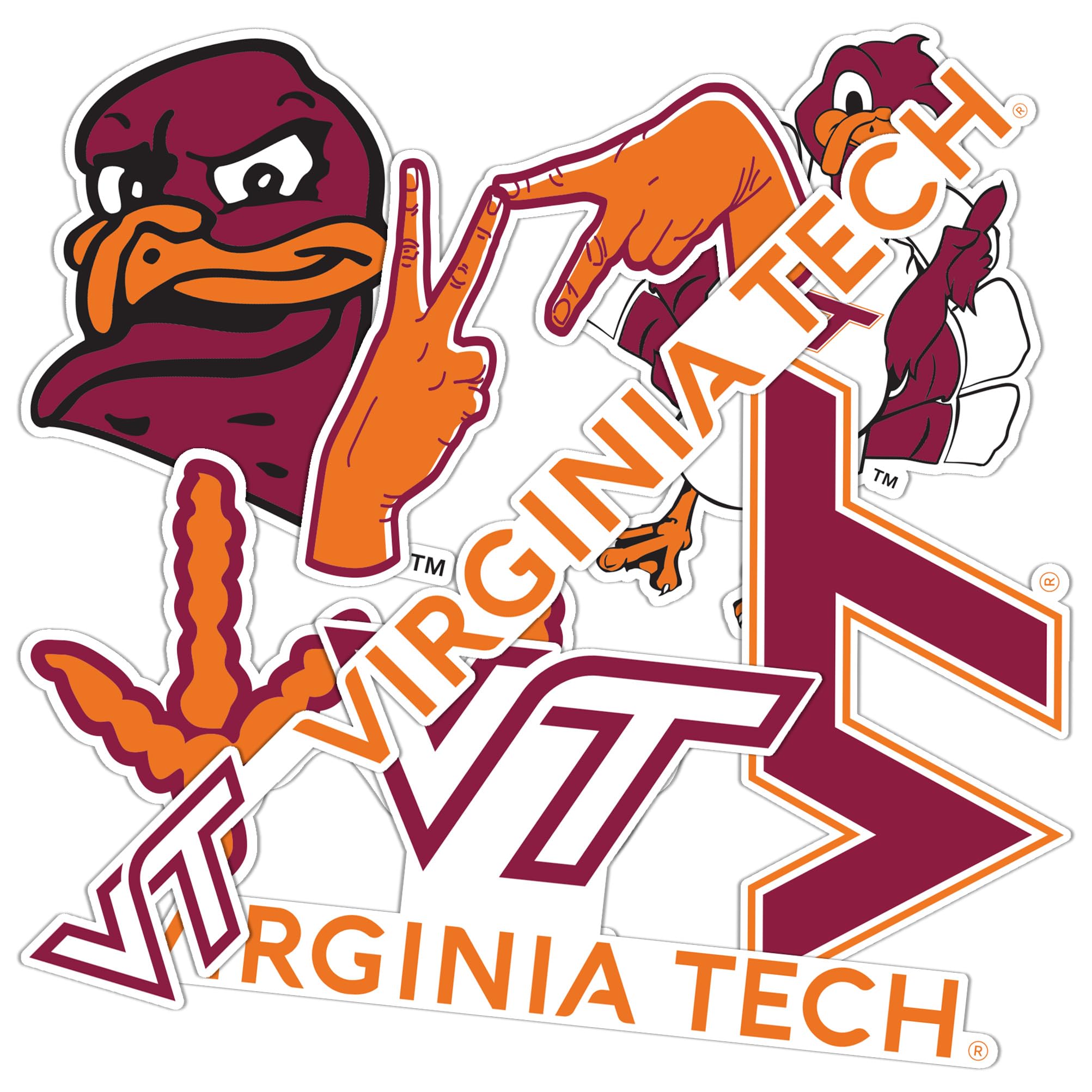 Desert Cactus Virginia Tech University Sticker Virginia Tech Hokies Vinyl Decal Laptop Water Bottle Car Scrapbook Sheet (Type 2-2)