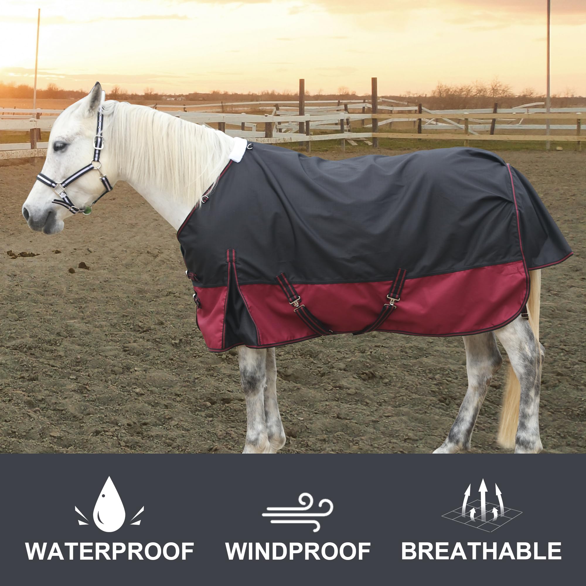 Leberna Alfombra impermeable 1200D para caballos, ligera, antidesgarros, transpirable, con cuello estándar, sin relleno (negro y rojo, 6 pies 6 pulgadas)