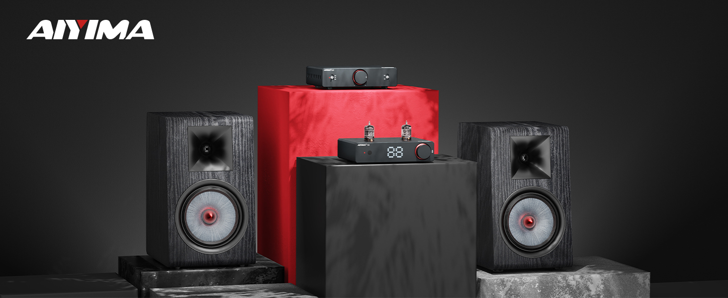 Amazon.com: AIYIMA P600 6.5