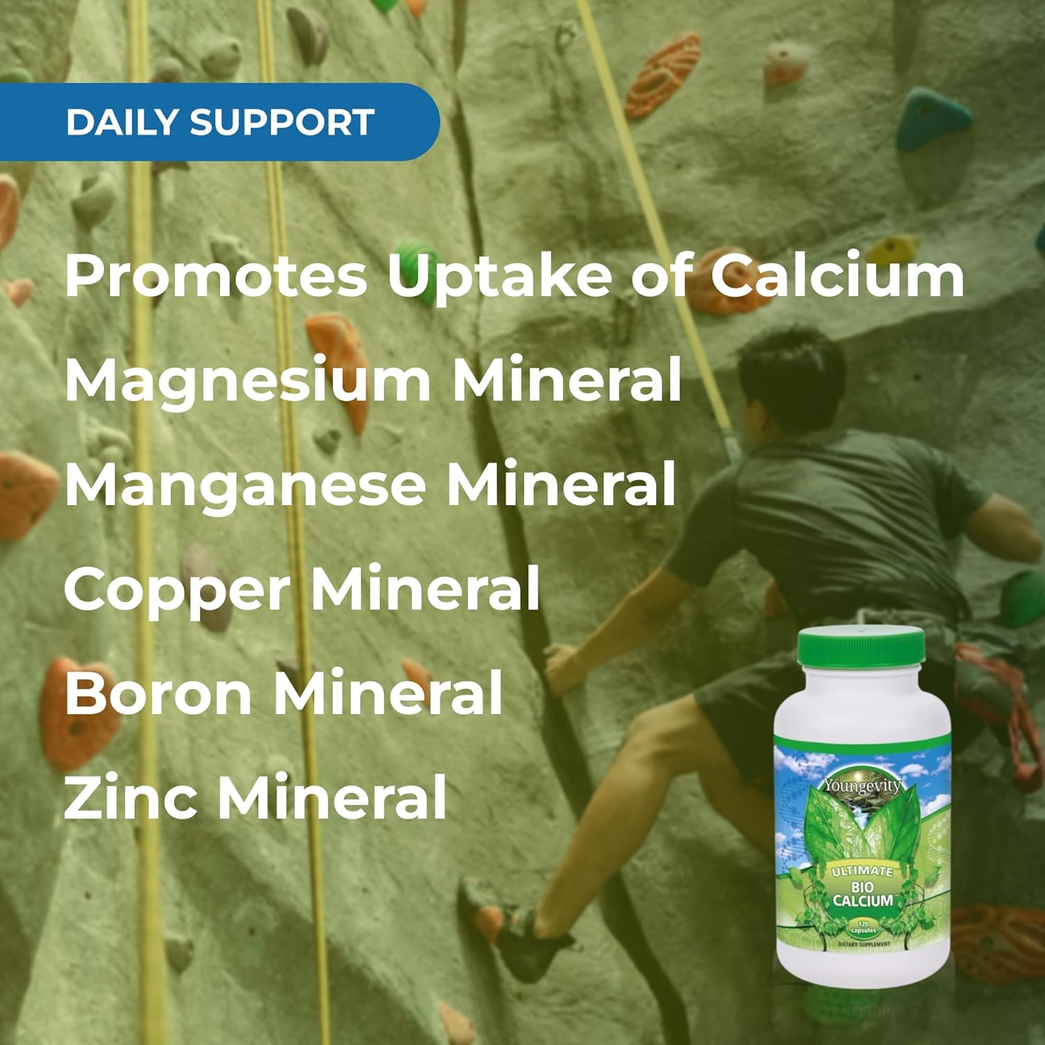 Youngevity Bio Calcium™ - Bioavailable Chelated Calcium + Magnesium, Zinc, Copper, Potassium, Boron - Absorbable Bone Support Supplement - (120 Capsules)