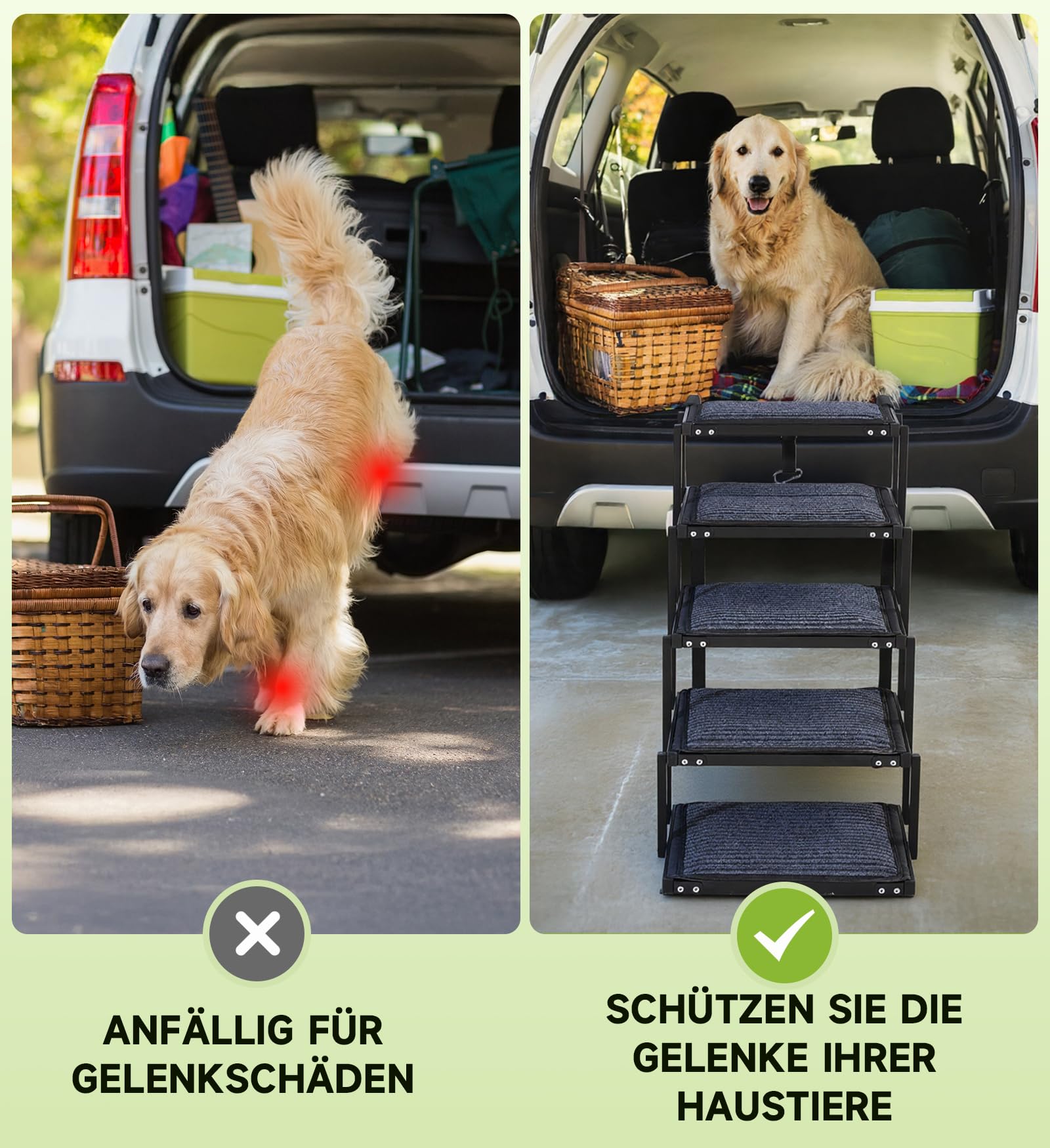 The Fellie Hunderampe, 5-stufige Hunderampe Auto Klappbar, Extra Stabile Hundetreppe mit Anti-Rutsch-Treppe, Liechte Hundetreppe für Kleine&Große Hunde, Hunde Unterstützung bis zu 250 lbs