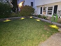 Review Image by peter vasconcelos peter vasconcelos