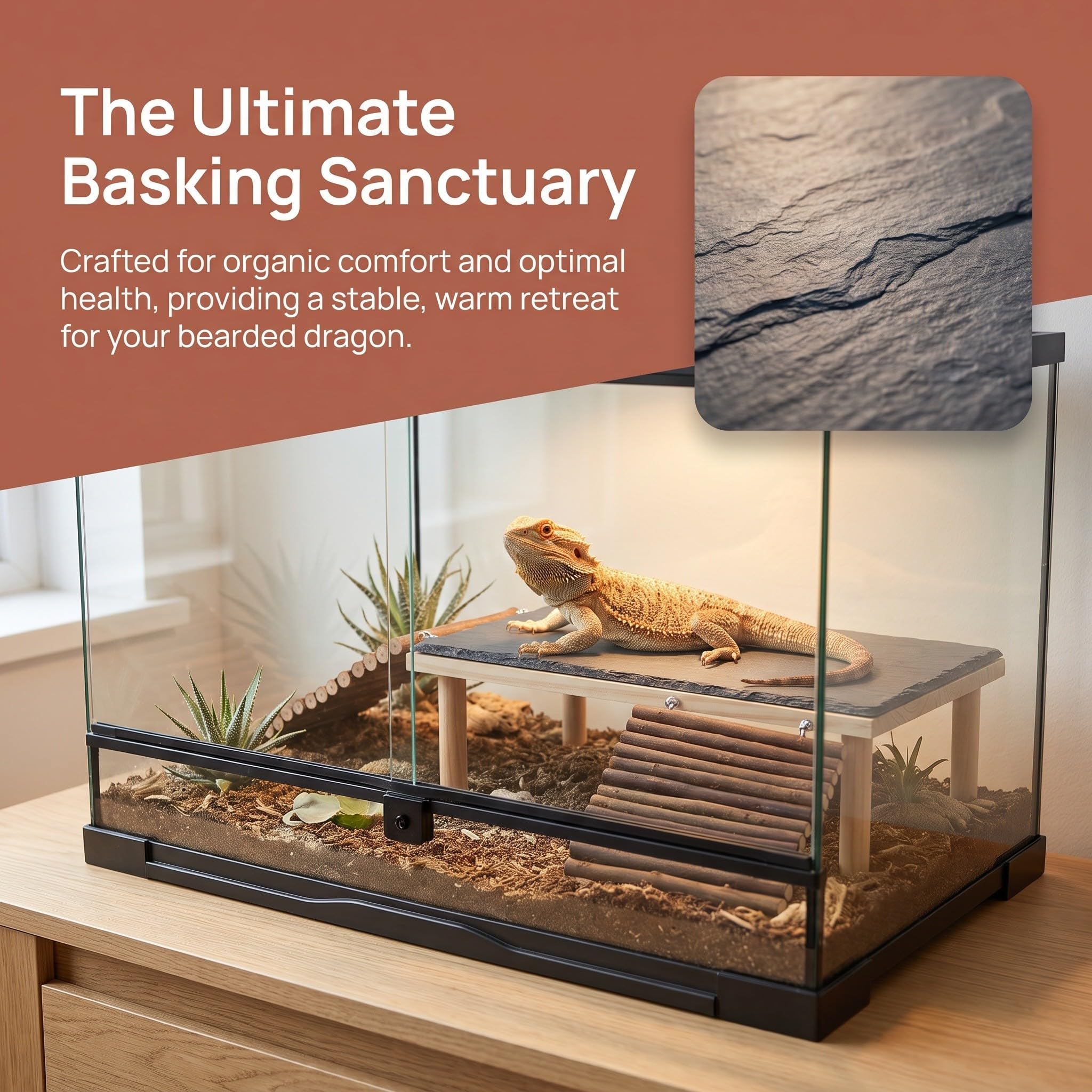SHINEOFI Piattaforma di Basking per Drago Barbuto, Struttura Stabile in