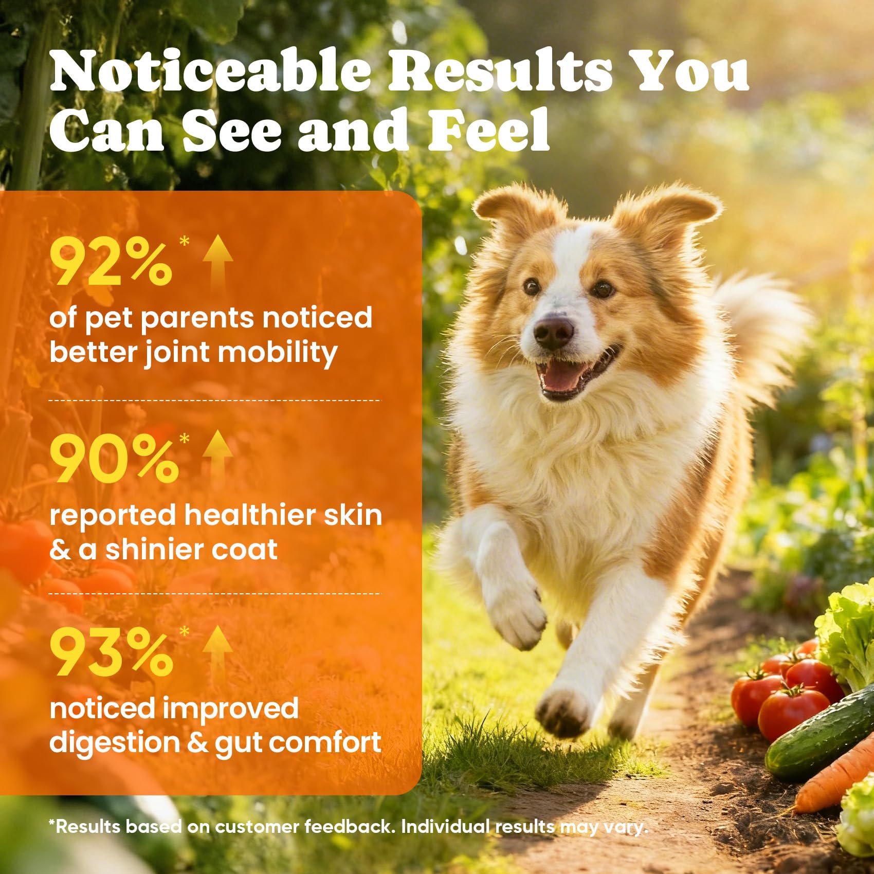 Dog Vitamins & Supplements 34-in-1 Pet Multivitamin Softchews, Daily Dog Supplements for Hip & Joints, Skin & Coat, Immune Health with Glucosamine, Probiotics, Collagen & Fish Oil (90-Day Supply) - image 6