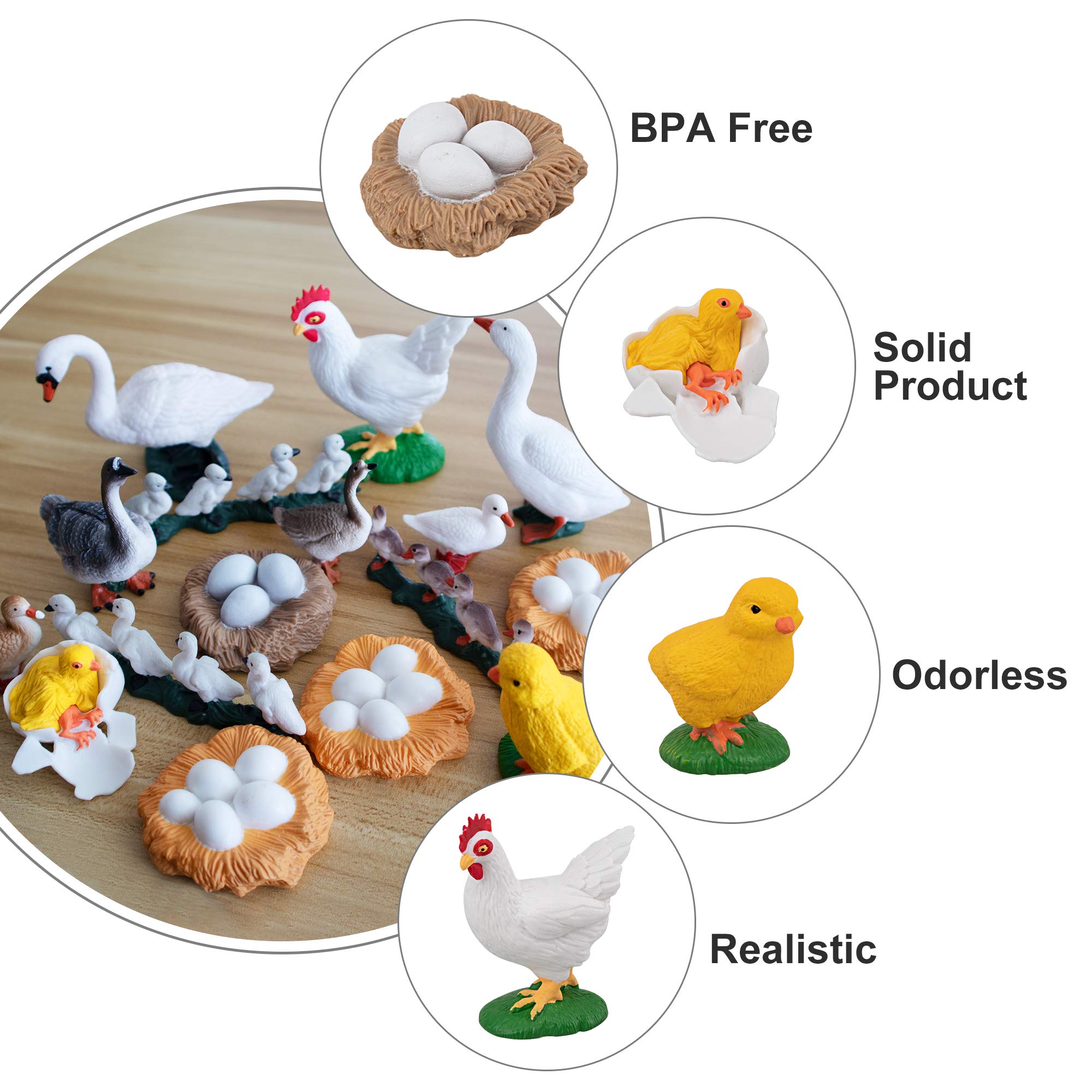 TOYMANY 16PCS Life Cycle Of Goose White Swan Chicken Duck Farm Animals TOYMANY 16PCS Life Cycle Of Goose White Swan Chicken Duck Farm Animals