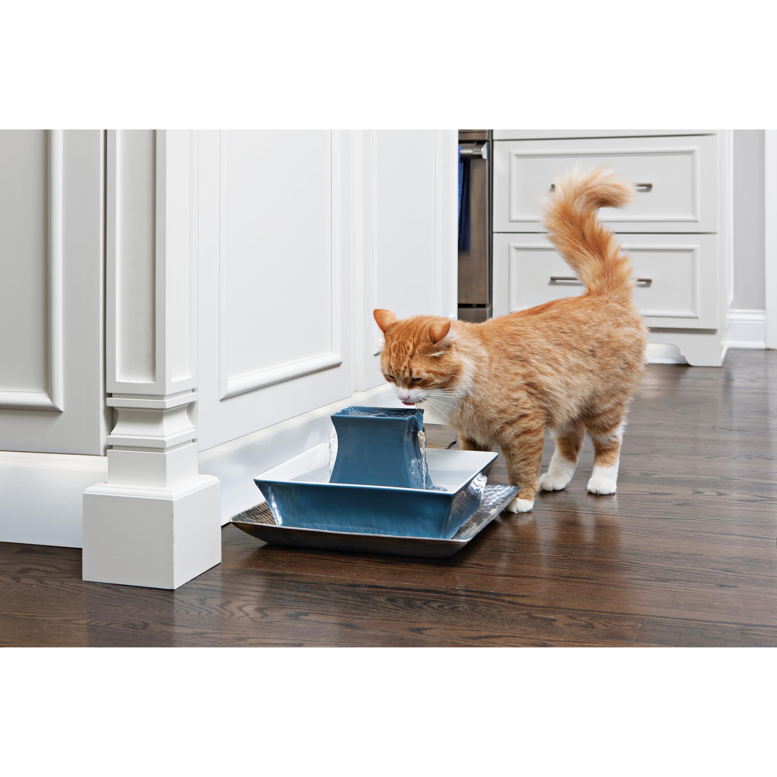 PetSafe Drinkwell Pagoda Fuente de Cerámica, 2L, Azul | Diseño Minimalista, Capacidad 2 Litros, Para Perros y Gatos