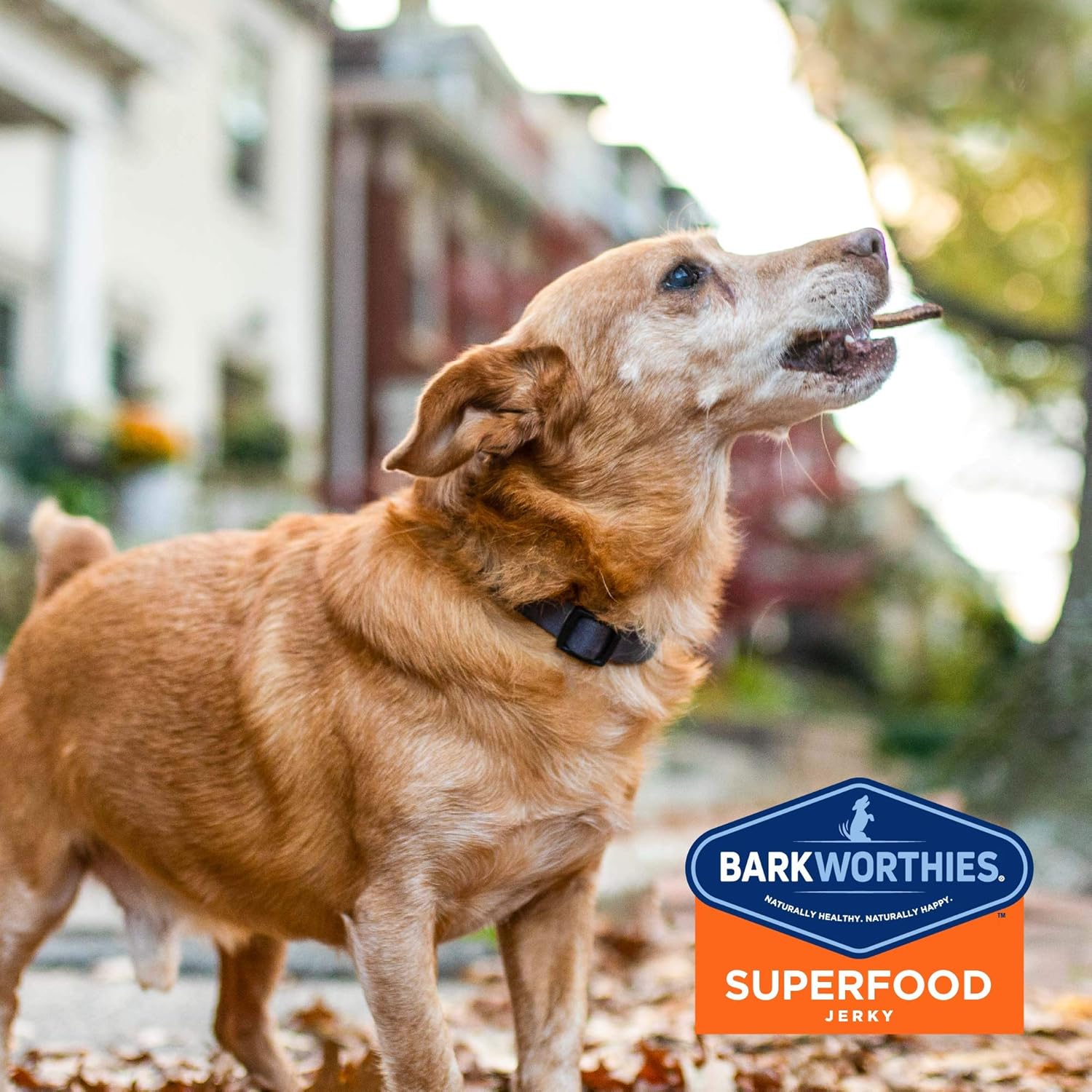 barkworthies beef jerky