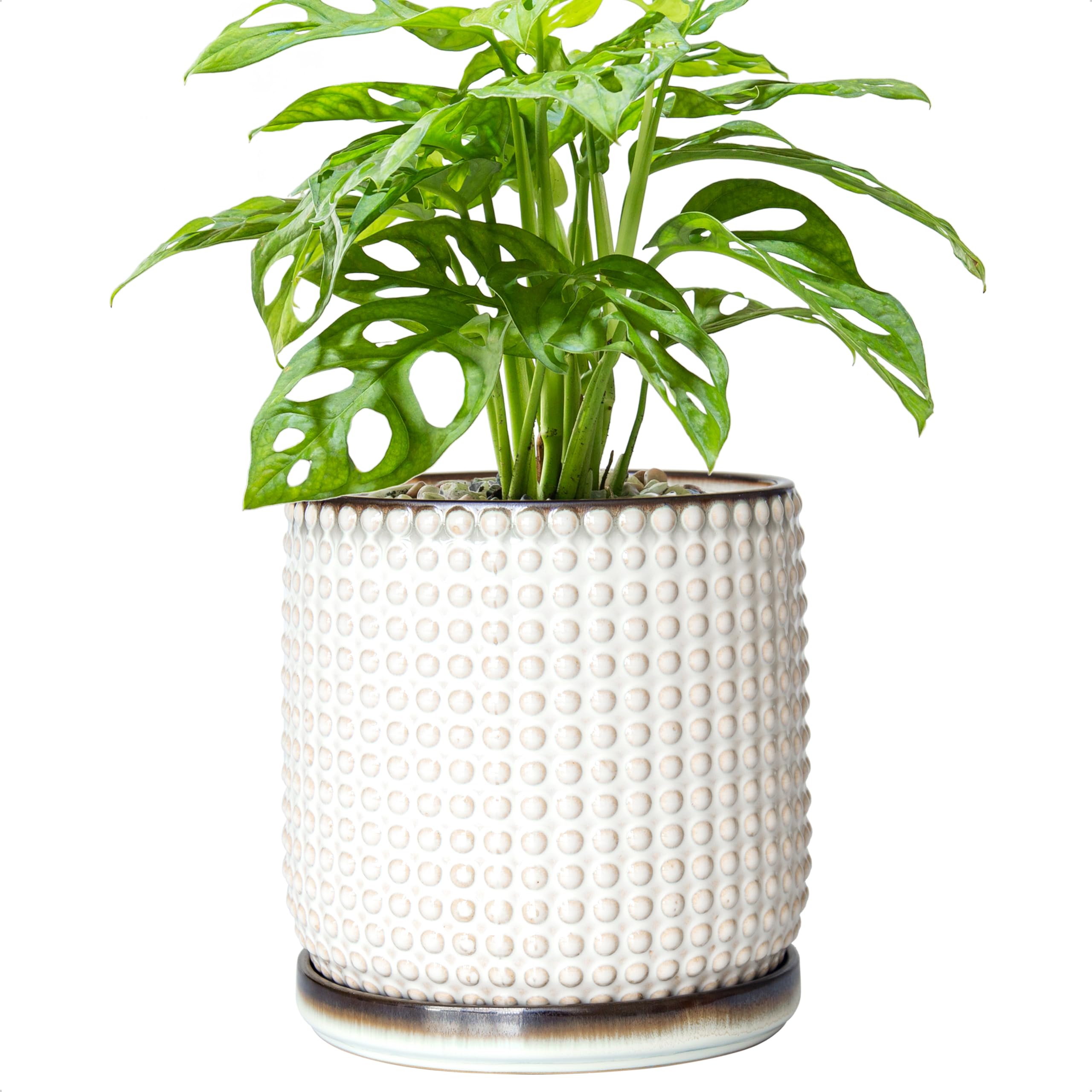 Amazon.com : D'vine Dev 6 Inch Ceramic Beaded Stoneware Planter