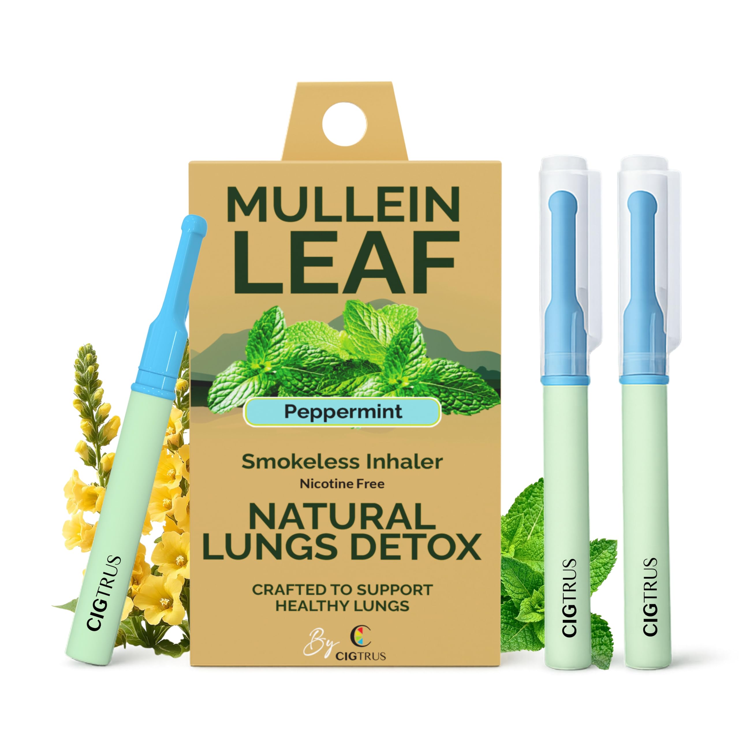 Cigtrus Mullein - Smokeless Inhaler, Quit Smoking Aid, Peppermint