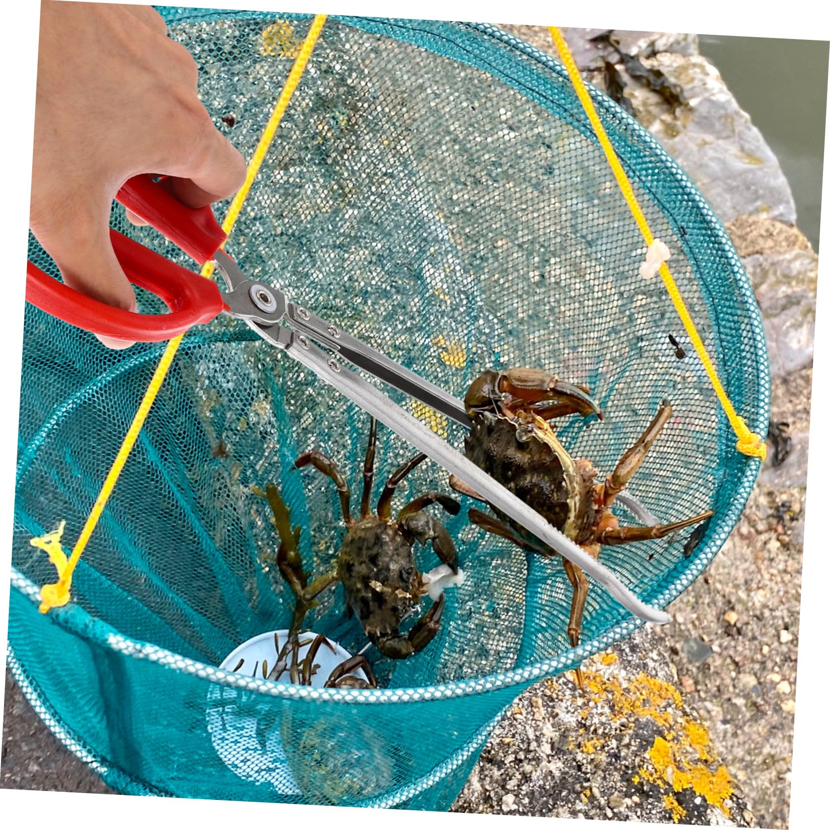 Acier Inoxydable Pince à Crabe Abs Multifonction Portable