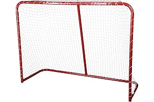 Franklin Sports Street Hockey Net: Score Big!