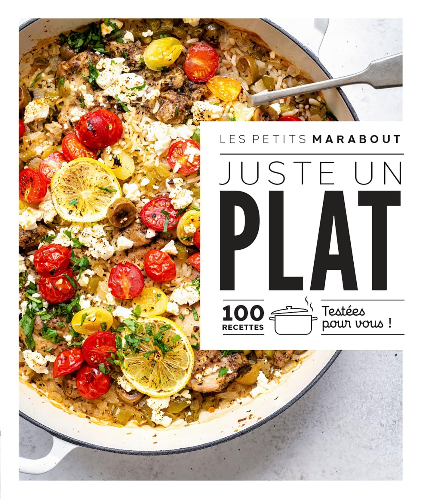 Juste un plat: 100 recettes testées pour vous !: 31645