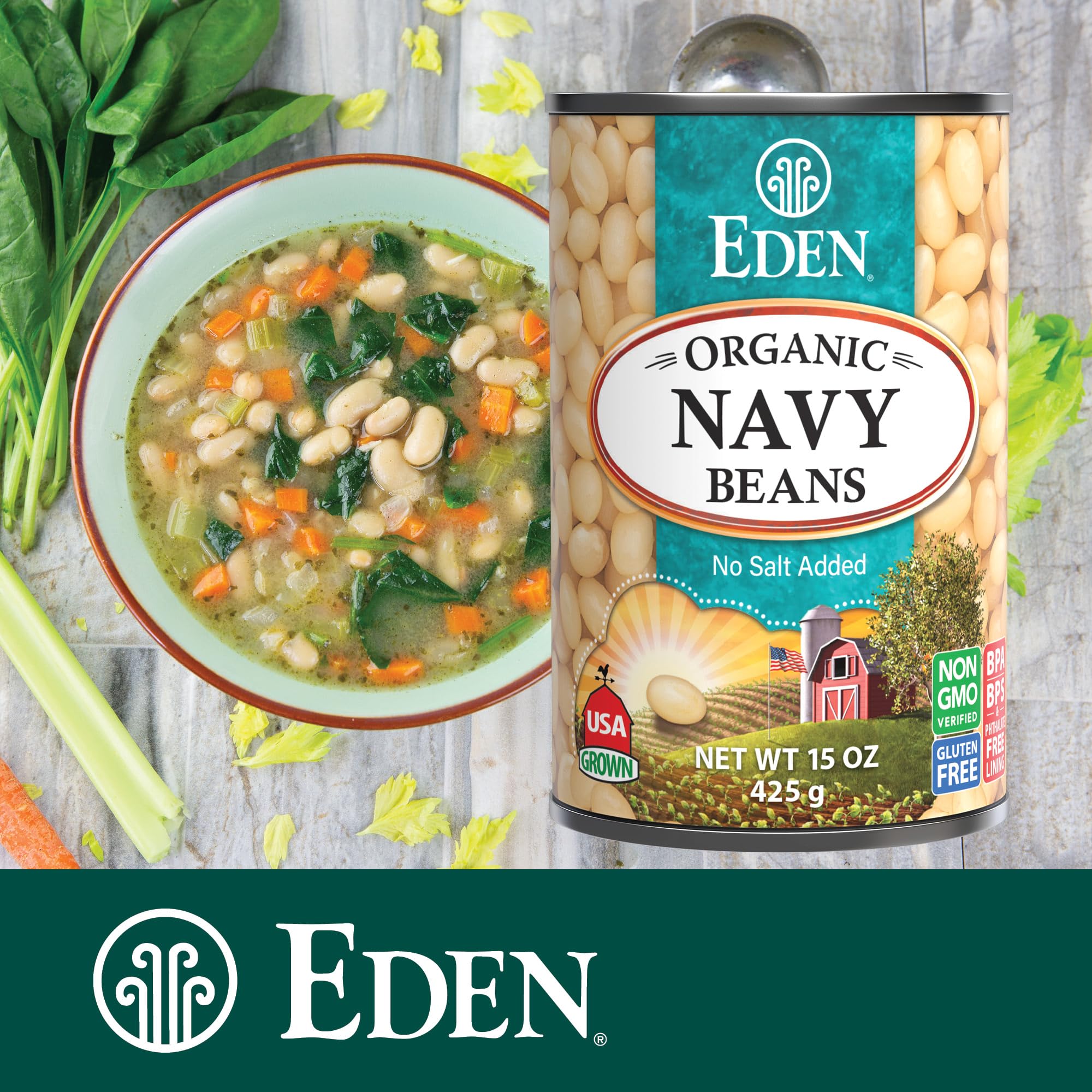 Amazon.com : Eden Organic Navy Beans, 15 oz Can (12-Pack), No Salt