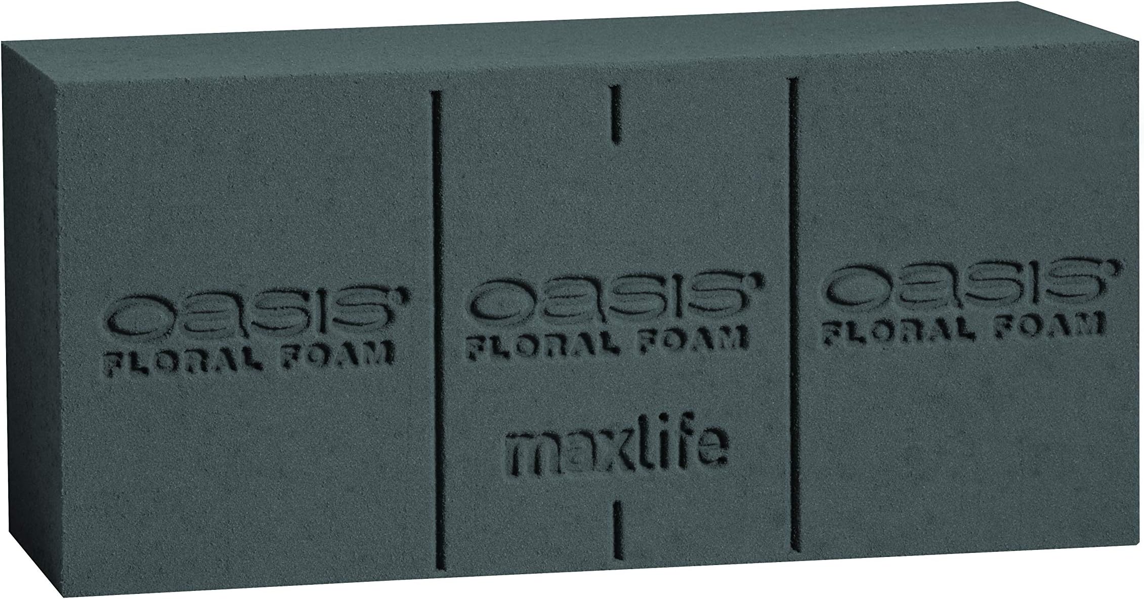 Oasis Midnight Floral Foam Standard Brick - 3 X 4 X 9 Twin Pack