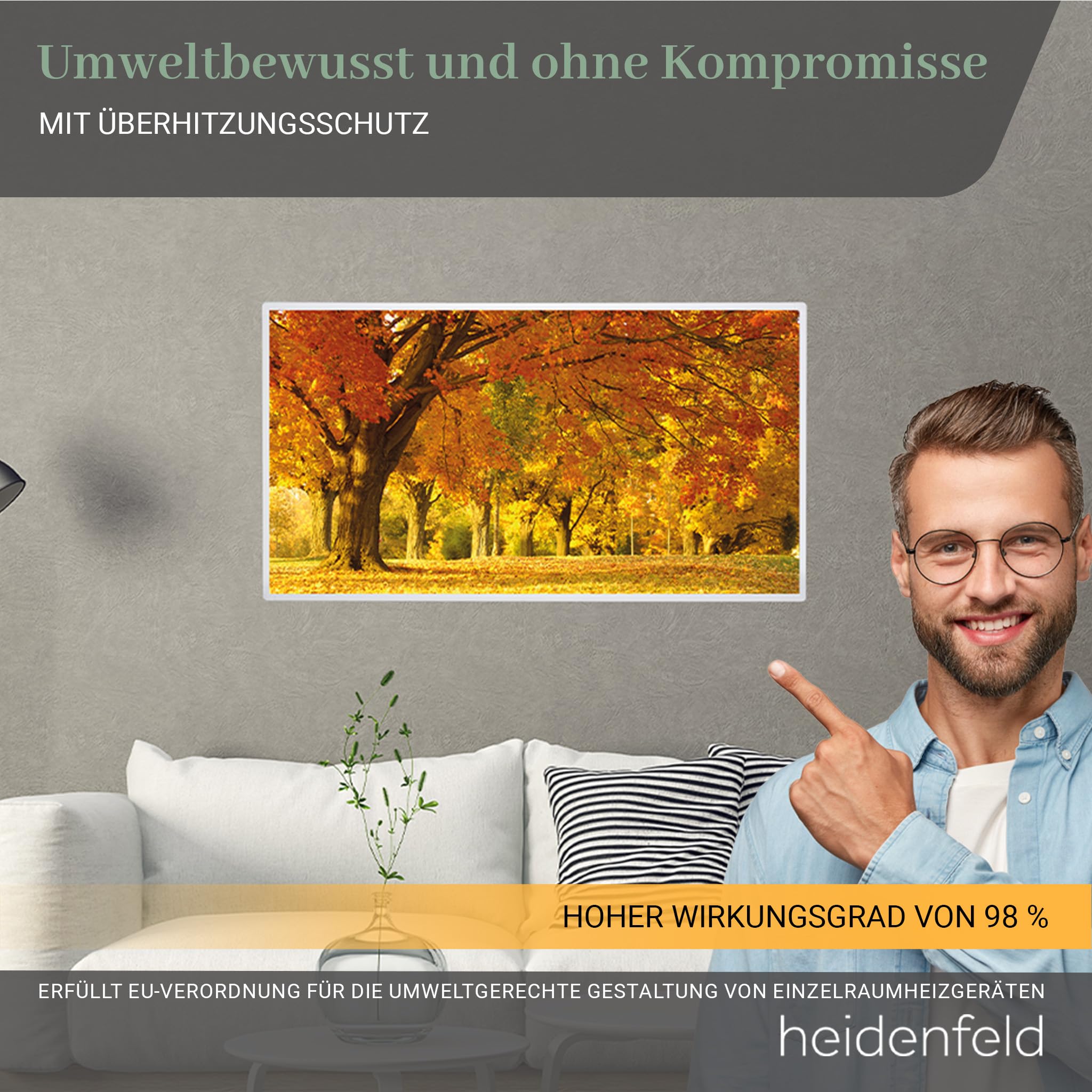 Heidenfeld Infrarotheizung HF-HP105 1000 Watt Bis 25 m² Infrarot Heizkörper Elektroheizung mit Thermostat