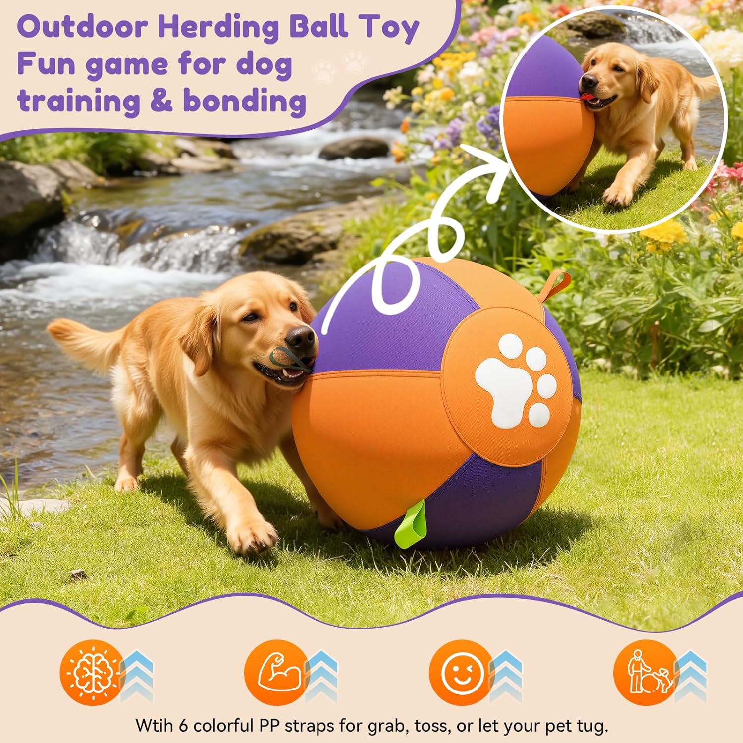 Pet Deluxe 18" Herding Ball for Large Dogs - Durable Interactive Herding Toy with Fast Pump in 60S & Carry Handles, for Australian Shepherd, Border Collie, Outdoor Training & Backyard Play
