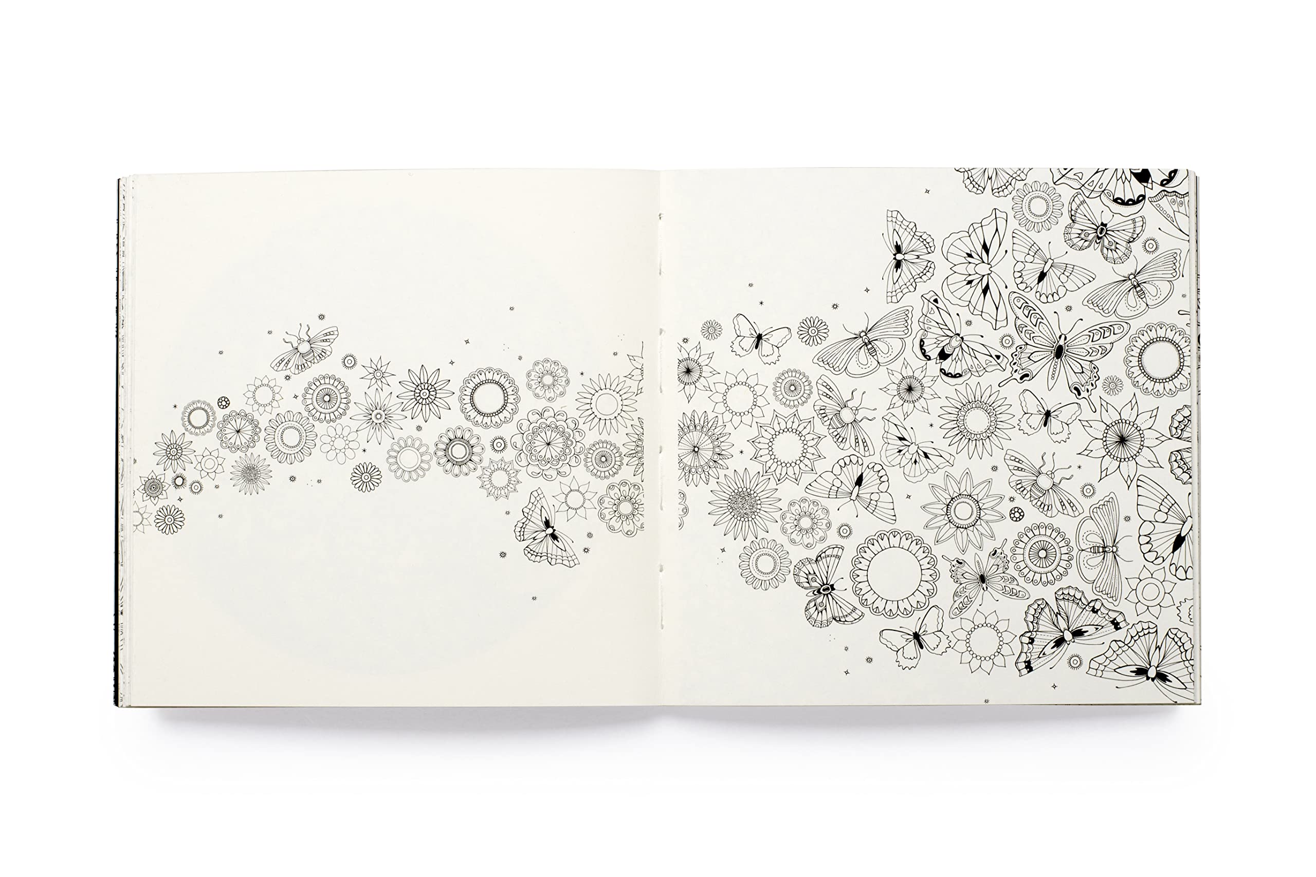 Miniature Secret Garden /anglais: A Pocket-Sized Coloring Book for Adults