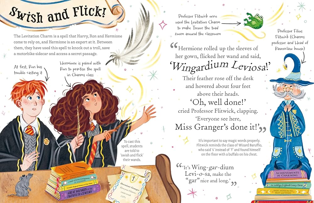 Pocket Potters: Hermione Granger (Little Guides to the Harry