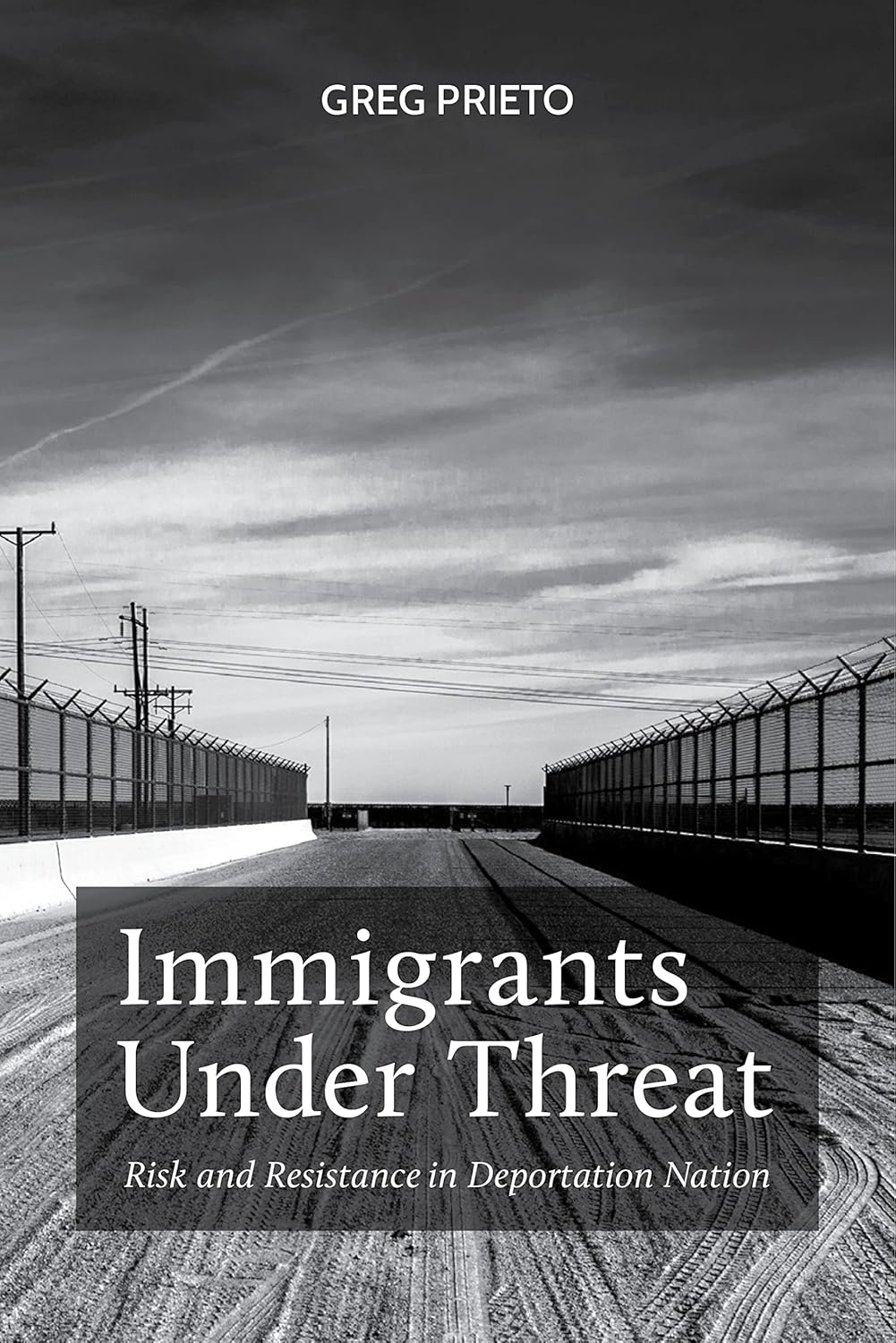 Immigrants Under Threat: Risk and Resistance in Deportation Nation (Latina/o Sociology, 5)      Paperback – June 26, 2018