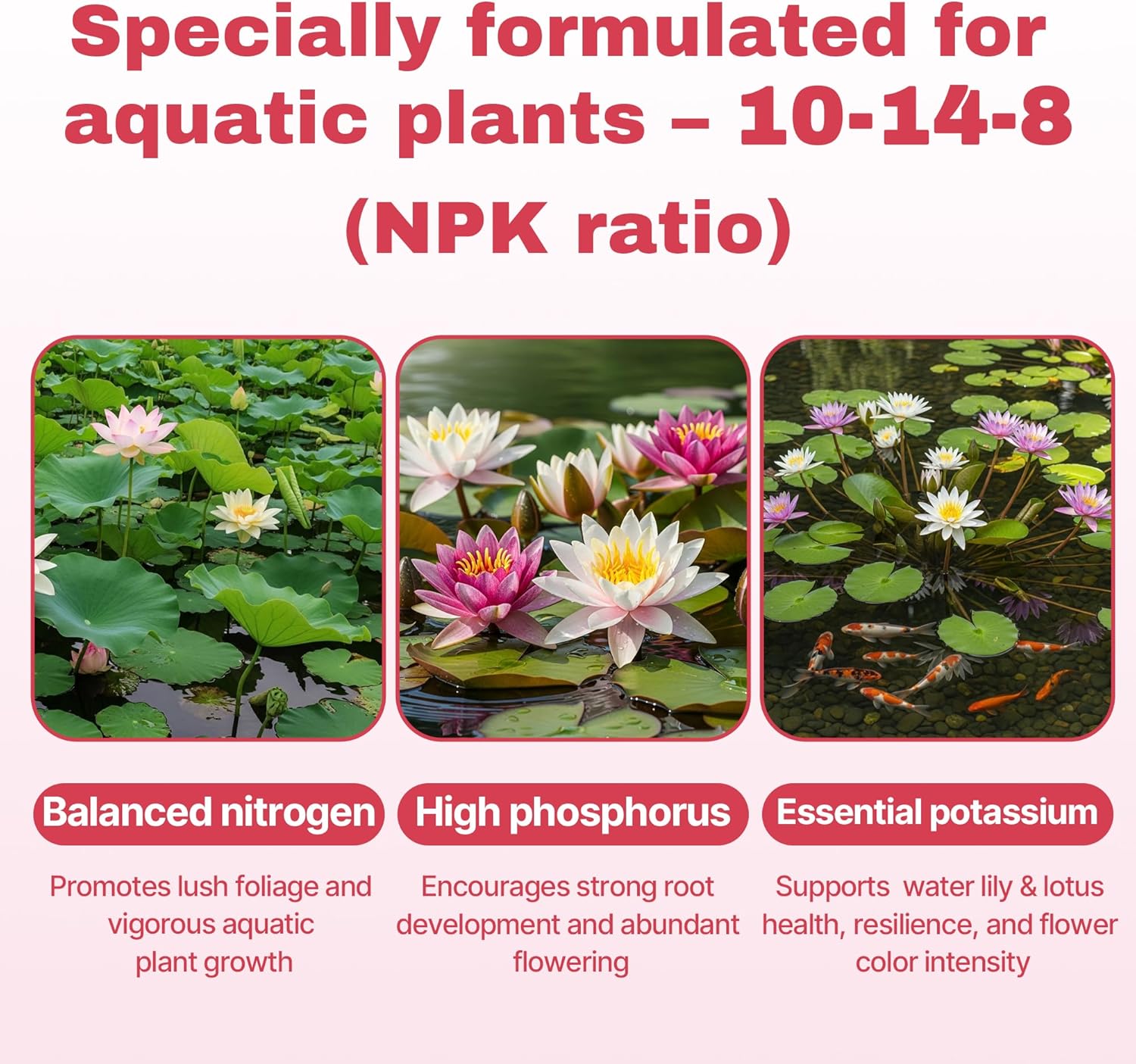 Aquatic Plant Fertilizer for Water Lily and Lotus,Water Lily Fertilizer Tablets-Fish Friendly,Lotus Fertilizer- Supports Lily and Lotus Blooming & Root Growth,Pond Plant Fertilizer-100 Tablets
