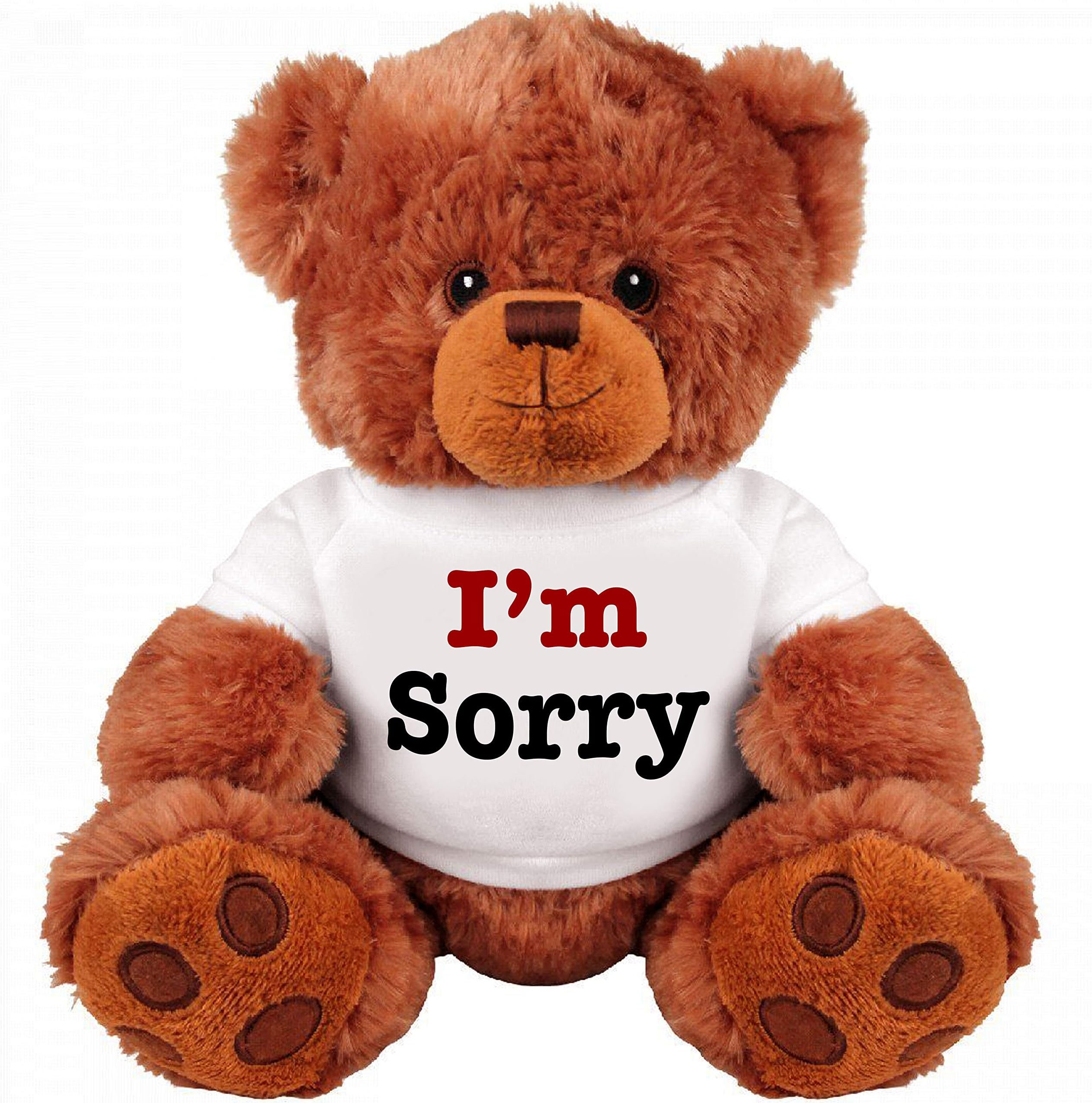 I Am Sorry Cuddly Teddy Bear Couple Gift : Romantic Medium Stuffed Animal