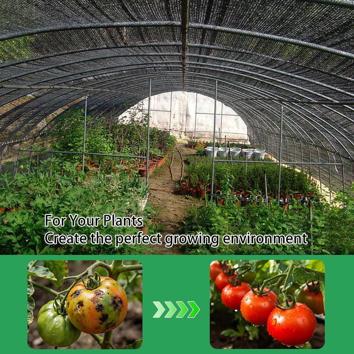 60% ochrona przed promieniowaniem UV, czarna siatka, tkanina z przelotkami, 4 x 10 m, do ogrodu, patio, szklarni, ochrona roślin, do użytku na zewnątrz