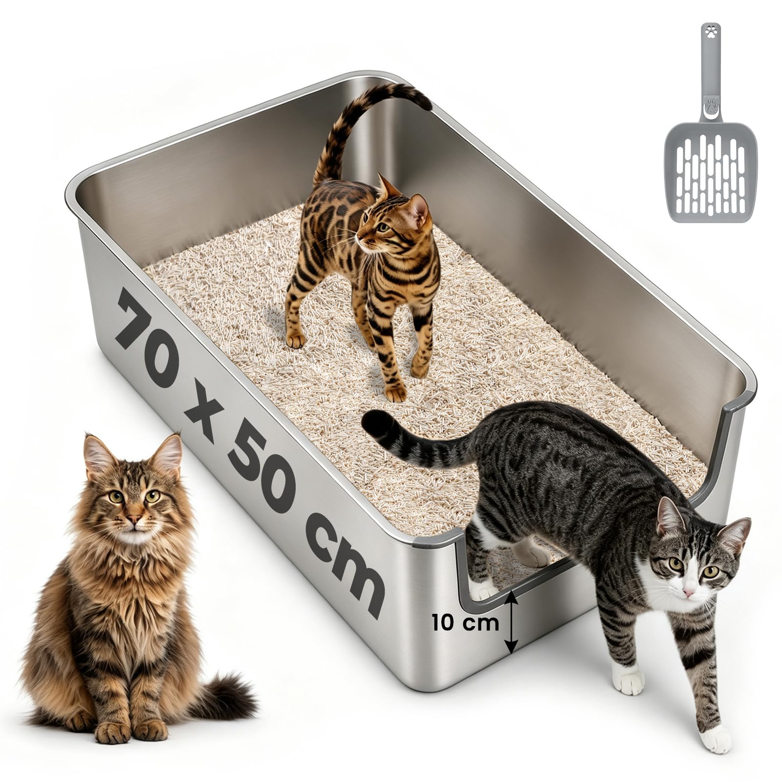 Extra groß Edelstahl Katzenklo 70x50 cm, Jumbo mit niedrigem Einstieg | Höhe 20 cm Metall Katzentoilette,Auslaufsichere hohem Rand für Maine Coon, unge und alte Katzen, Mehrkatzenhaushalte