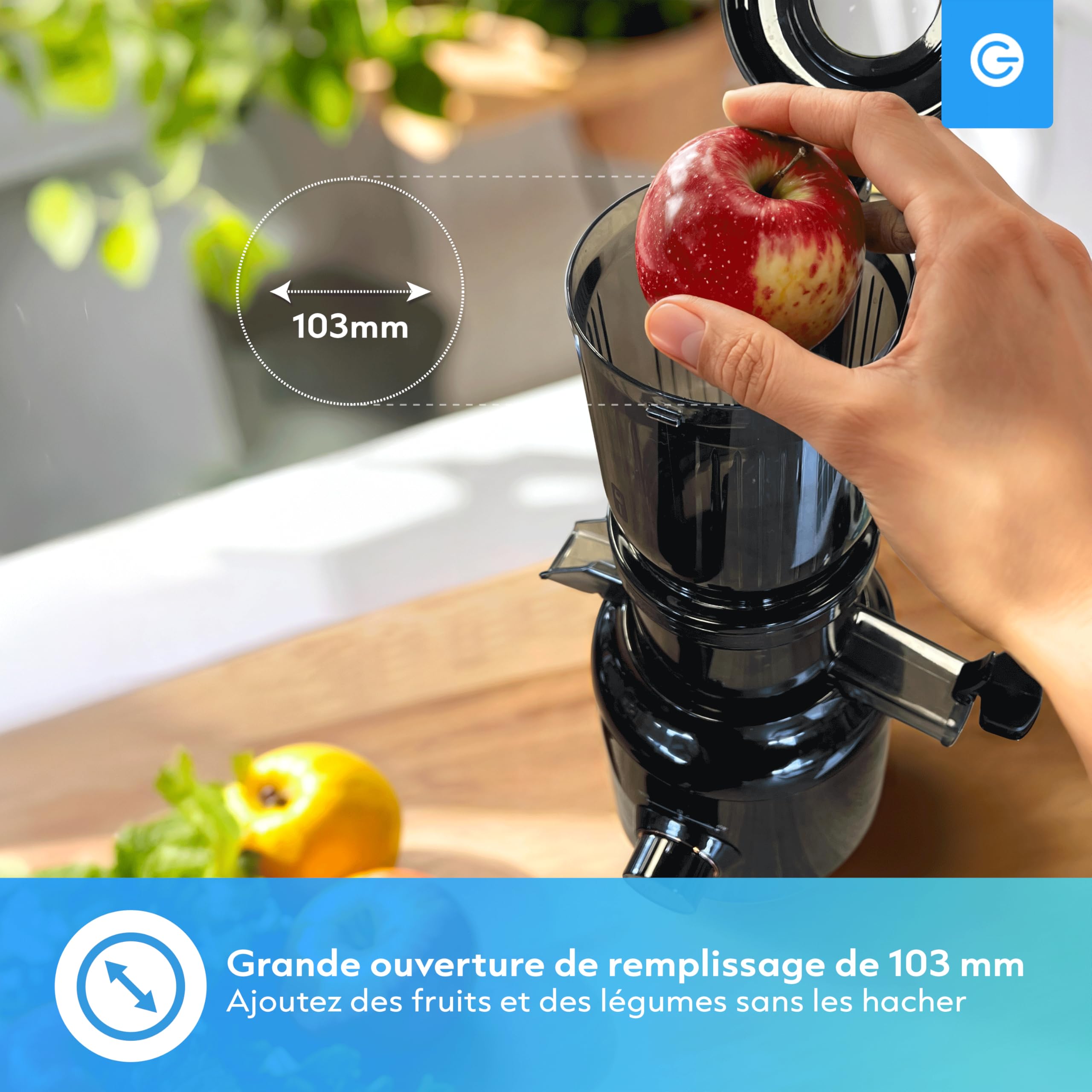 Silvergear Extracteur de Jus 250 W 60 tours/minute Goulotte 103mm Noir