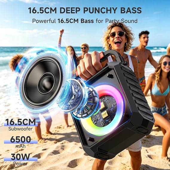 Karaoke Machine with 2 Wireless Microphones for Adults, All-in-One Karaoke
