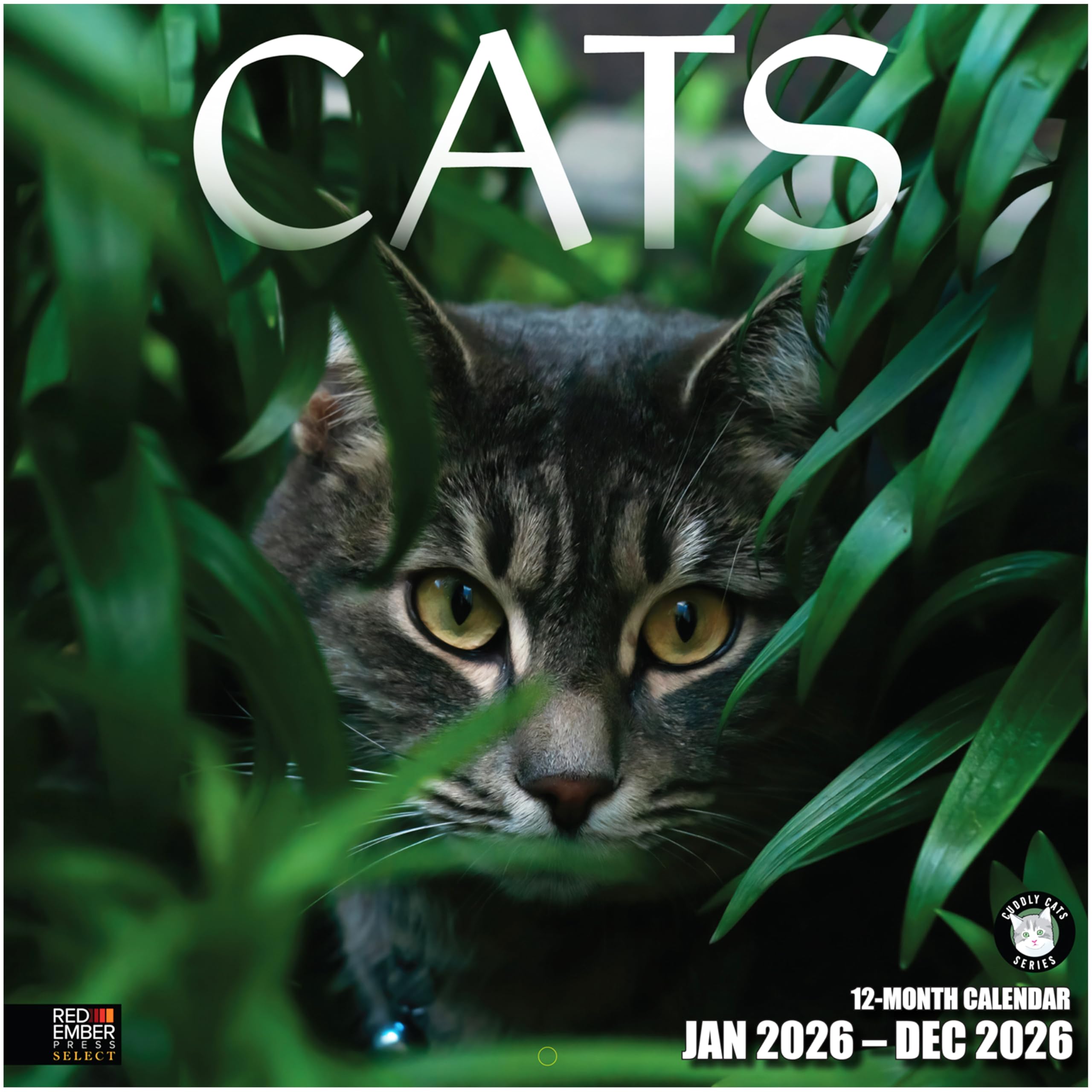 RED EMBER Select - Cats 2026 Wall Calendar 12 Month | 12" x 24" Open | Thick &amp; Sturdy Paper | Holiday Gift | Cute Kitten Cat Calendar 2026