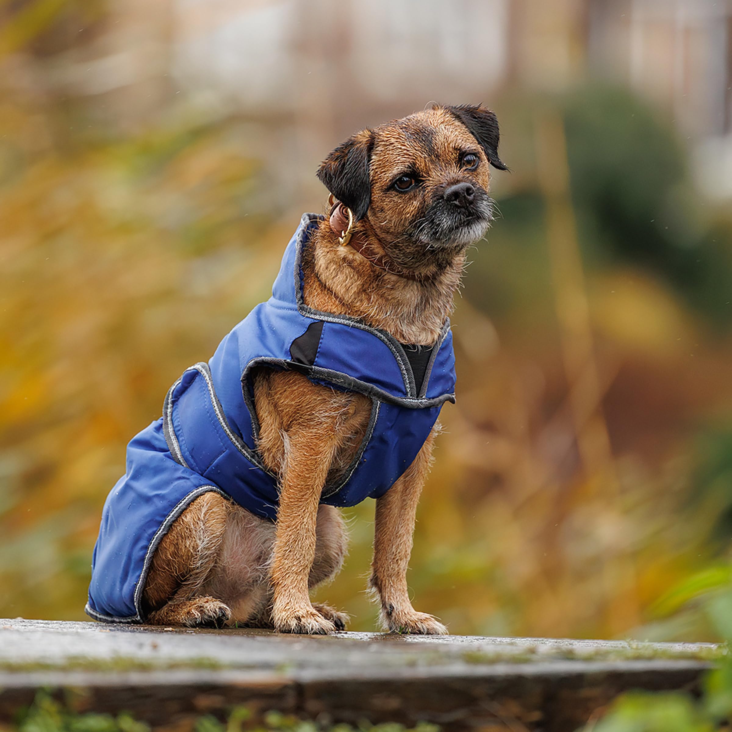 WeatherBeeta Hundemantel ComFiTec Windbreaker Free - 30 cm - Dunkelblau-Silber