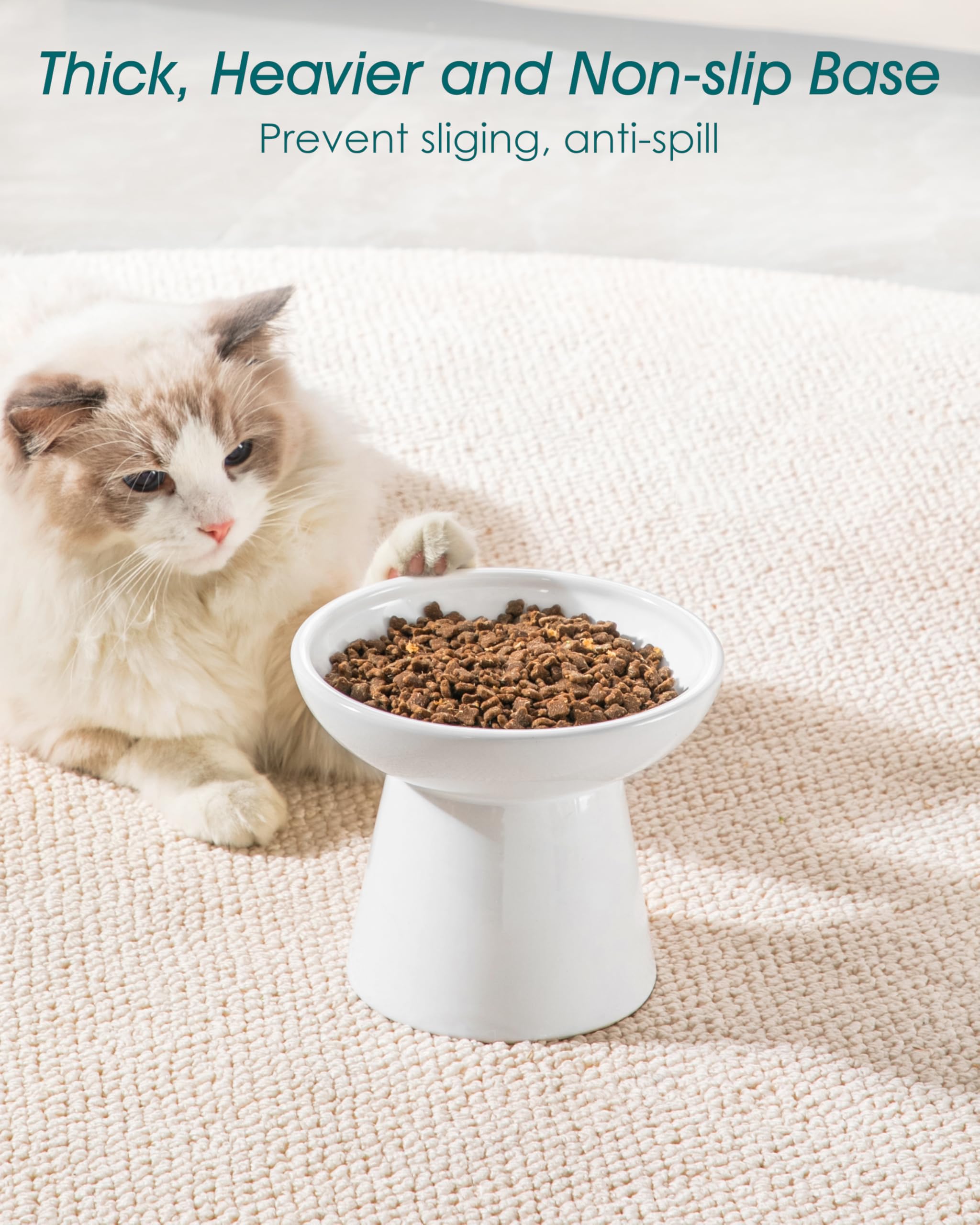 vancasso Ciotole per gatti rialzate, in ceramica, rialzate per cibo e acqua, 15,7 cm, extra larga e poco profonda, per gattini, gatti adulti, cani di piccola taglia, affaticamento dei baffi, senza