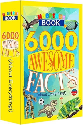 Wizard in Training - Caja fuerte con páginas reales, caja de bloqueo de combinación, caja de seguridad de metal portátil oculta Wizard in Training - Caja fuerte con páginas reales, caja de bloqueo de combinación, caja de seguridad de metal portátil oculta