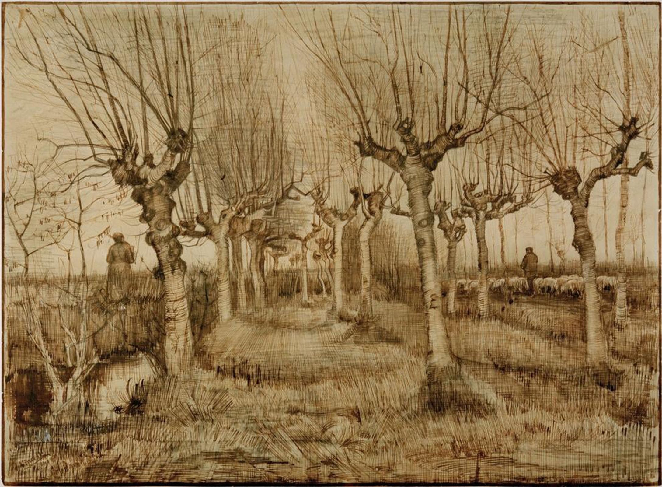 Tableaux Vincent Van Gogh saules têtards impression sur toile 60x90cm