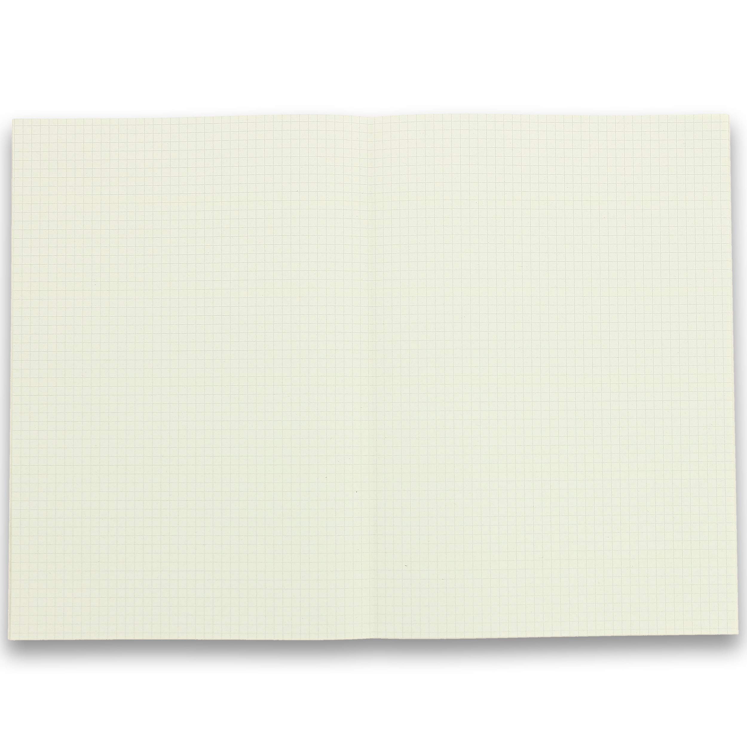 Landré 100050614 - Folios (DIN A3 plegado en DIN A4, a cuadros, 70 g/m2, papel reciclado 100%, 250 hojas)