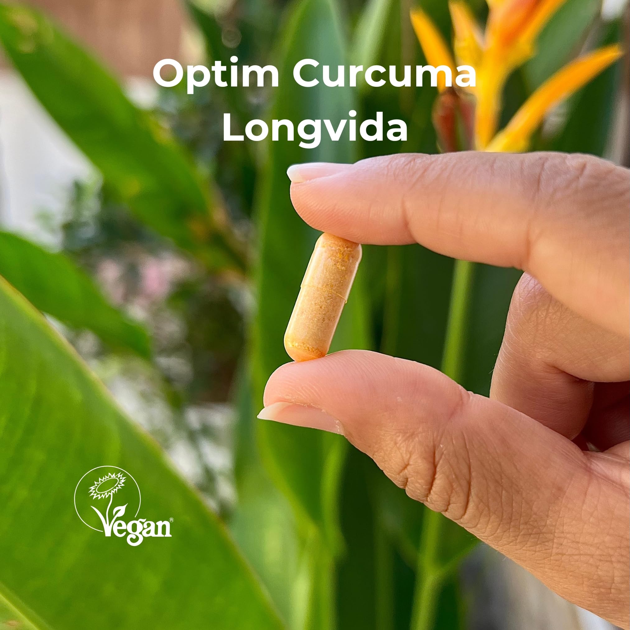 OPTIM Curcuma - Longvida Curcumin Kurkuma Pack 12 x 30 Kapseln - 285x höhere Bioverfügbarkeit Hochdosiert für Geschmeidiger Gelenke - Kurkumaextrakt - Vegan