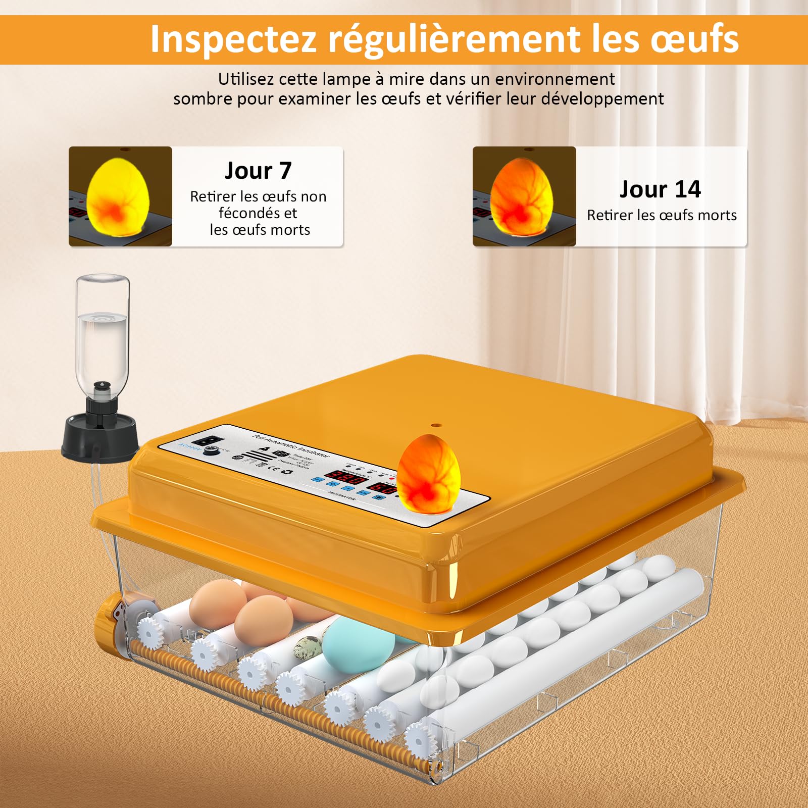 Couveuse Oeuf Automatique 36 Oeufs, Couveuse Oeuf Contrôle Température, Incubateur de 5 Modes d'incubation Automatiques, Affichage Humidité, Remplissage Automatique d'eau et Retournement